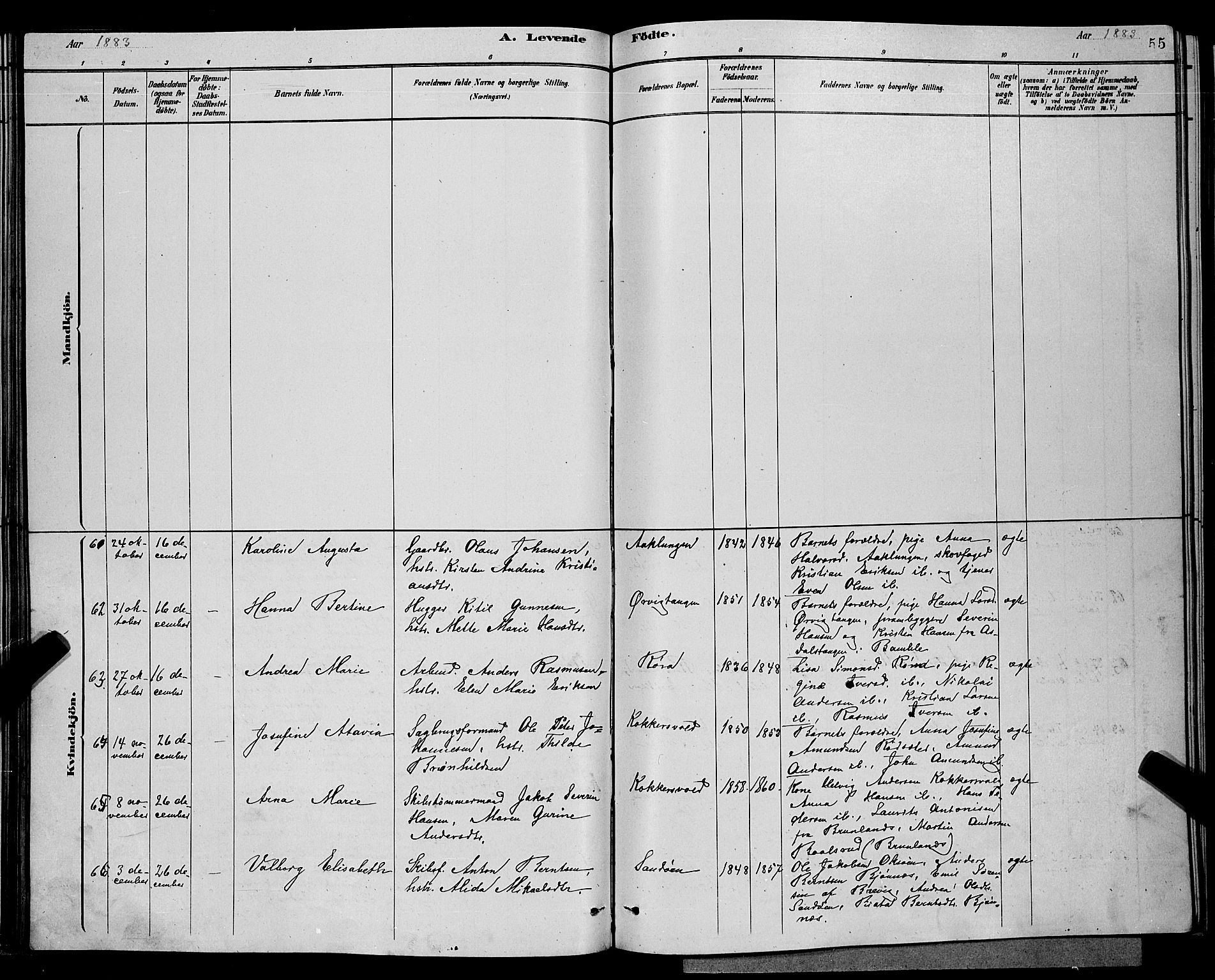 Eidanger kirkebøker, AV/SAKO-A-261/G/Ga/L0002: Parish register (copy) no. 2, 1879-1892, p. 55