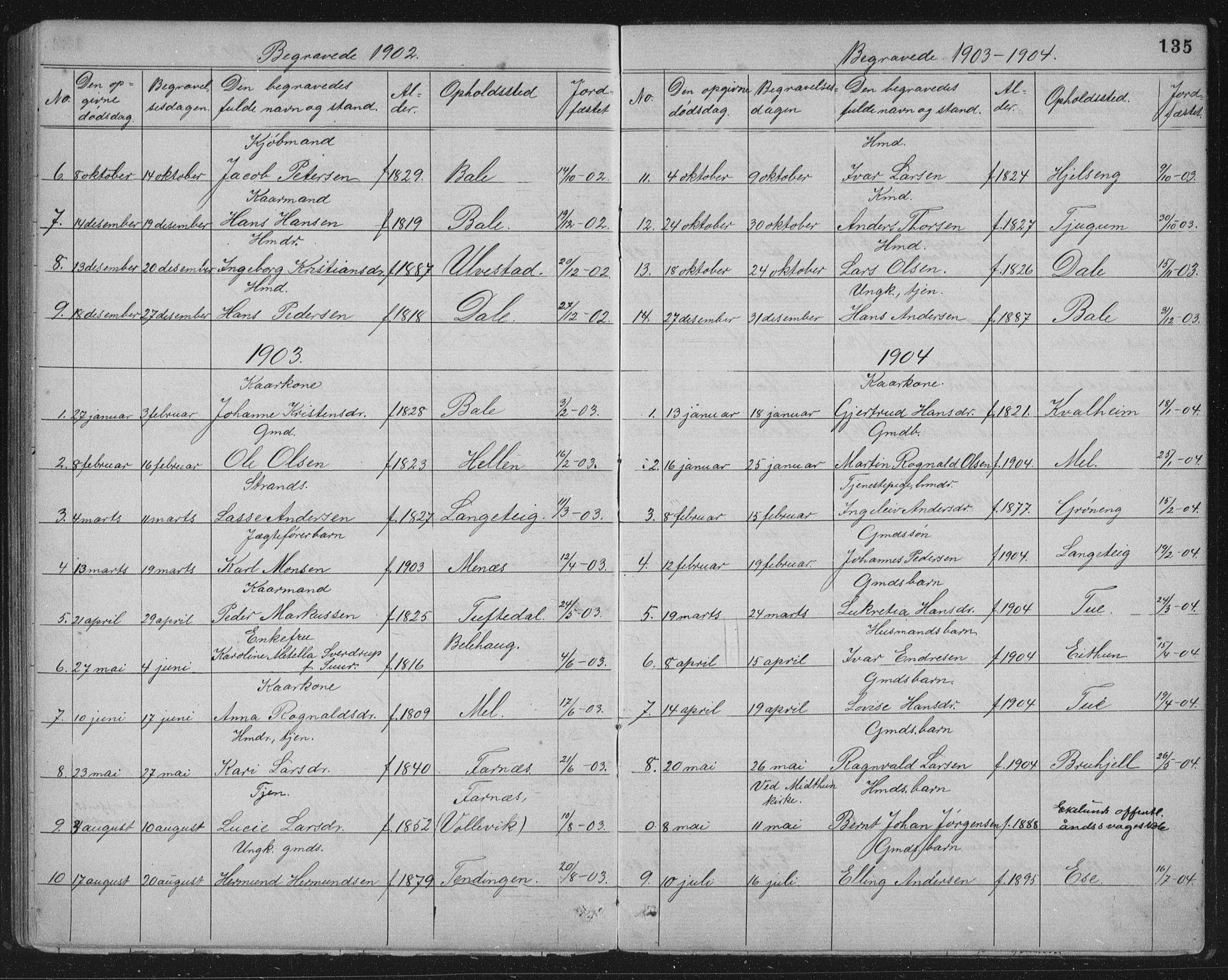 Balestrand sokneprestembete, AV/SAB-A-79601/H/Hab/Haba/L0002: Parish register (copy) no. A 2, 1880-1919, p. 135