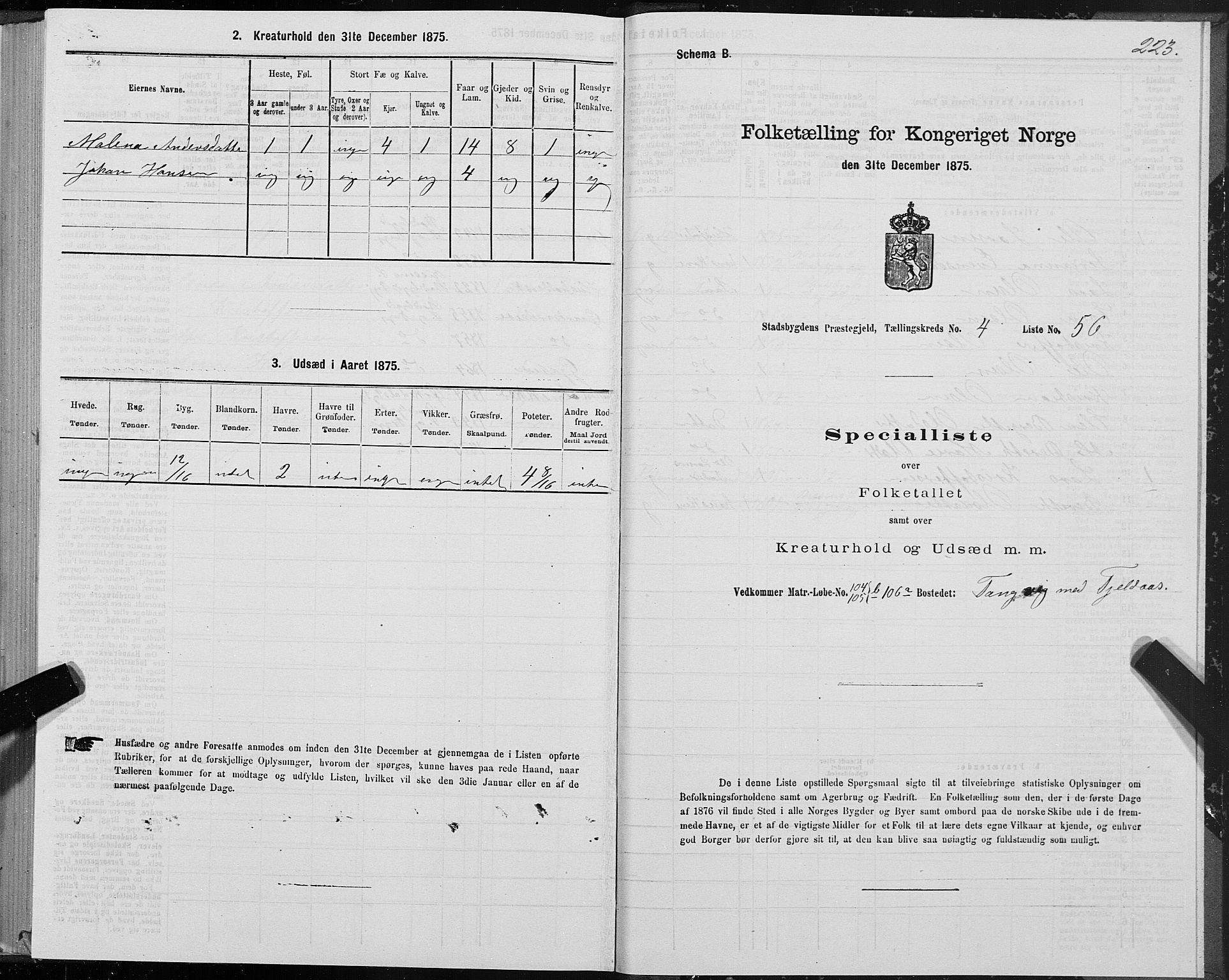 SAT, 1875 census for 1625P Stadsbygd, 1875, p. 2223