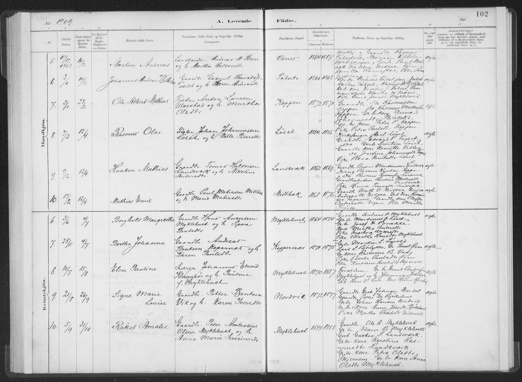 Ministerialprotokoller, klokkerbøker og fødselsregistre - Møre og Romsdal, AV/SAT-A-1454/502/L0025: Parish register (official) no. 502A03, 1885-1909, p. 102