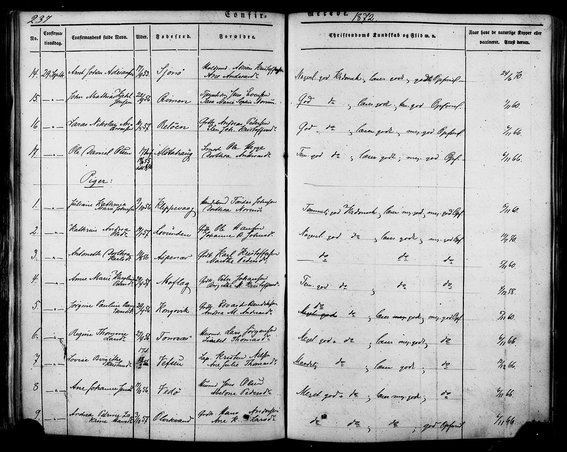 Ministerialprotokoller, klokkerbøker og fødselsregistre - Nordland, SAT/A-1459/839/L0567: Parish register (official) no. 839A04, 1863-1879, p. 237