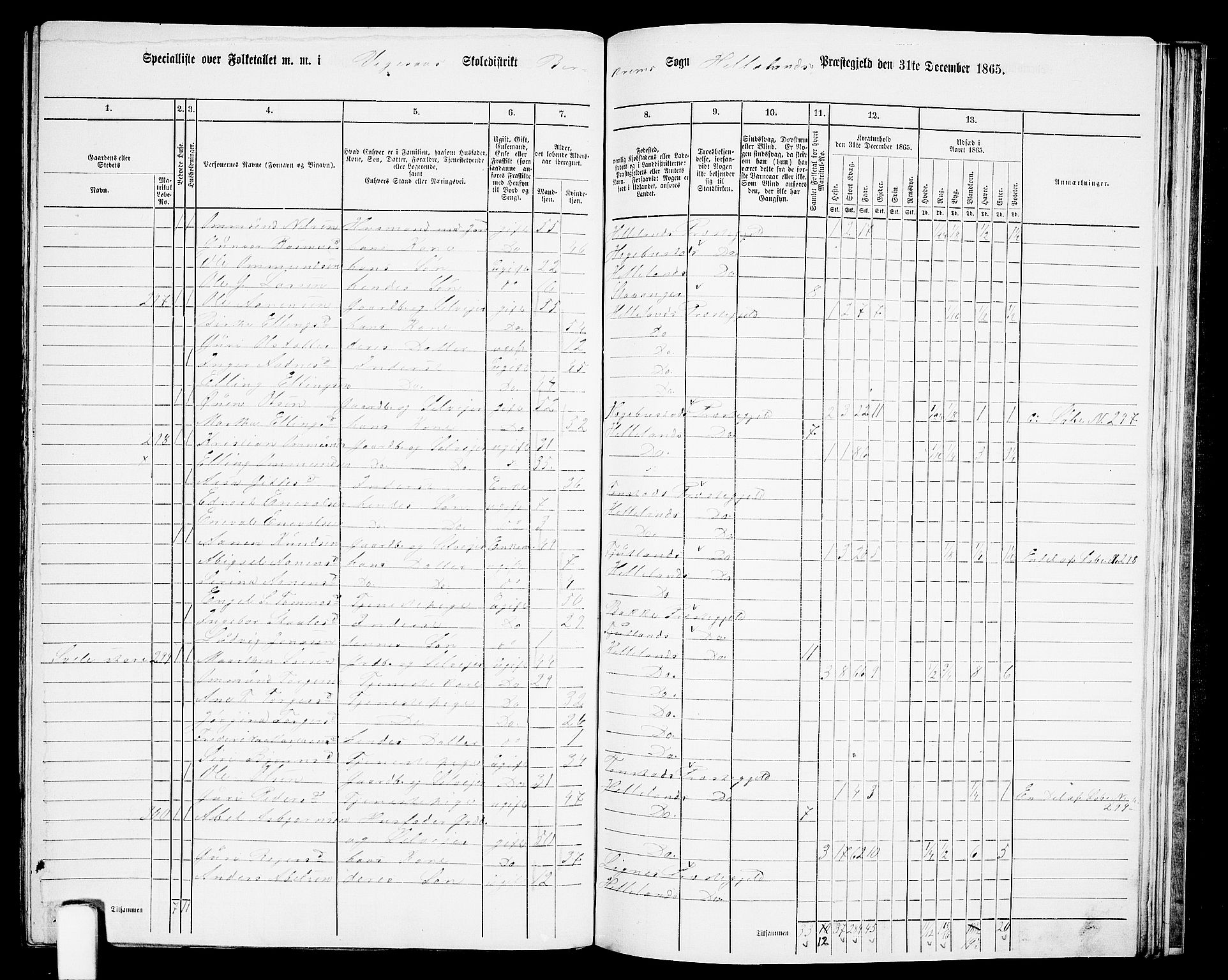 RA, 1865 census for Helleland, 1865, p. 116