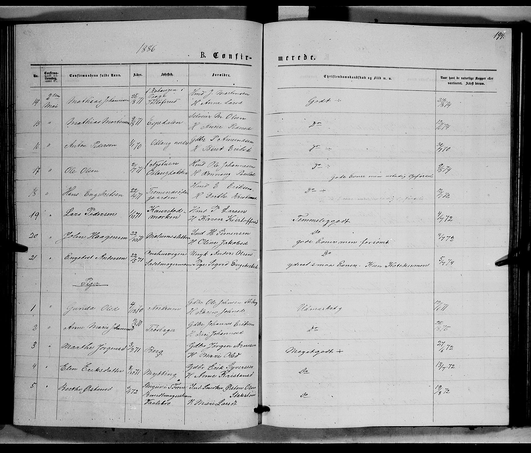 Ringebu prestekontor, SAH/PREST-082/H/Ha/Hab/L0006: Parish register (copy) no. 6, 1880-1898, p. 194