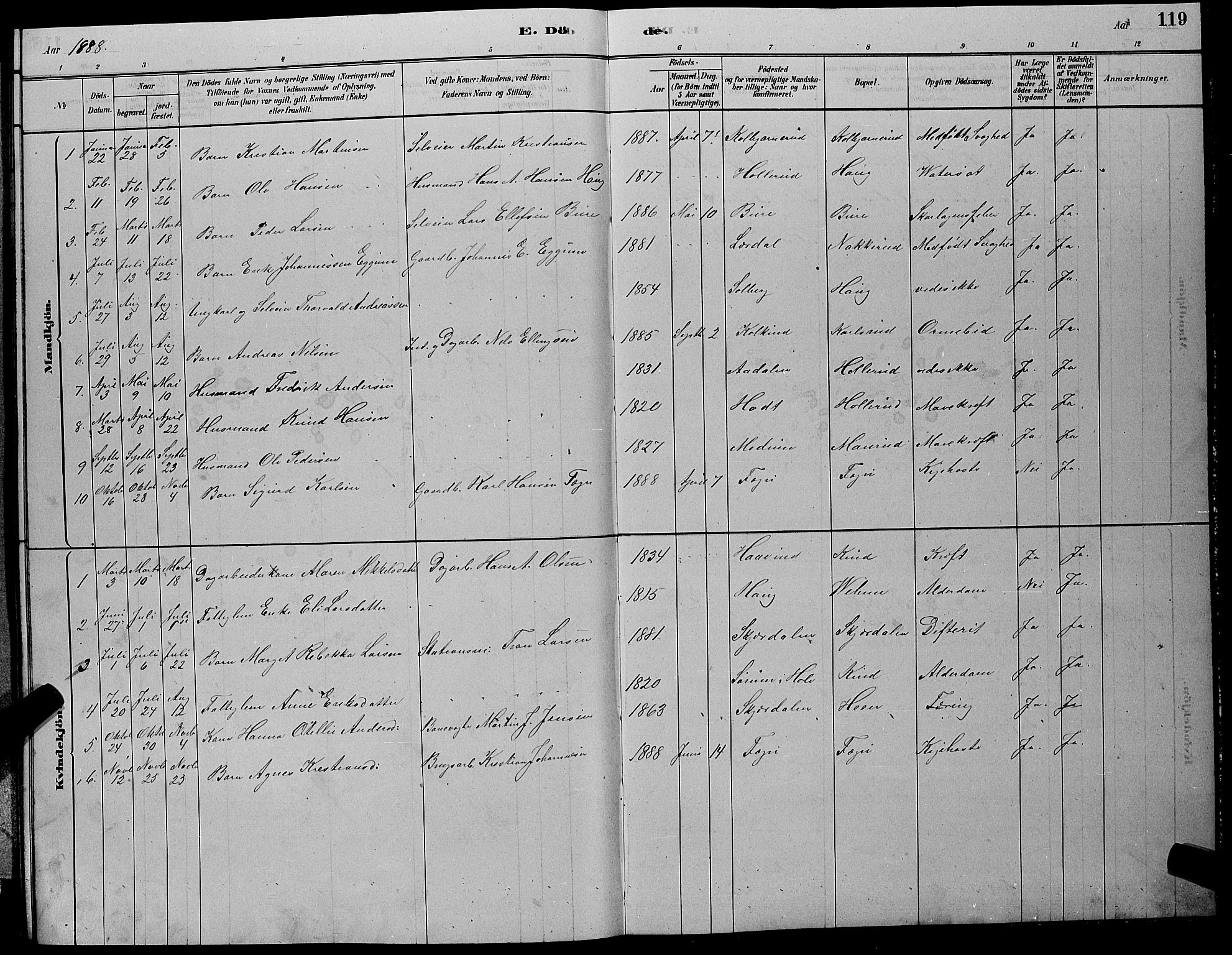 Hole kirkebøker, SAKO/A-228/G/Gb/L0002: Parish register (copy) no. II 2, 1878-1889, p. 119