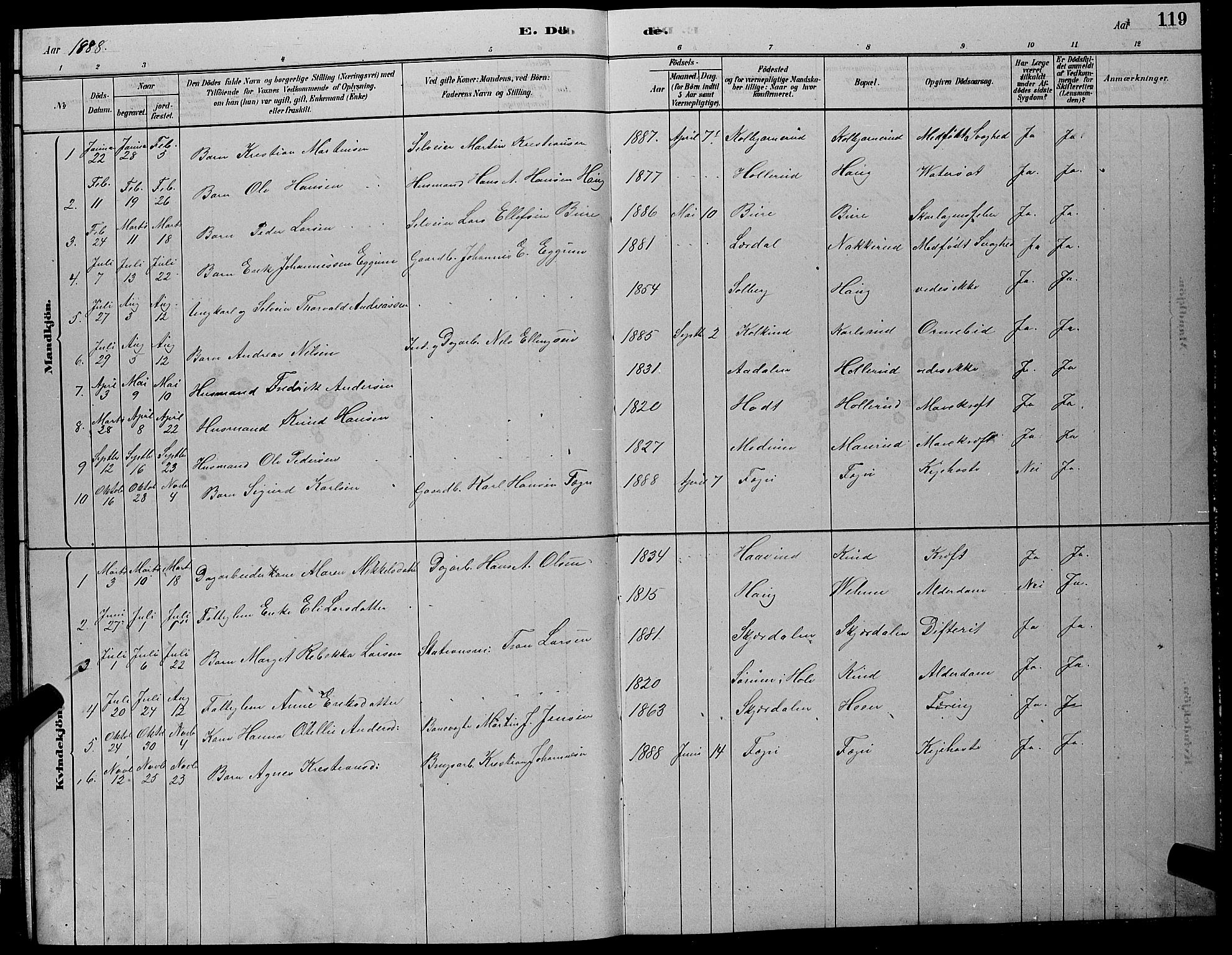 Hole kirkebøker, AV/SAKO-A-228/G/Gb/L0002: Parish register (copy) no. II 2, 1878-1889, p. 119