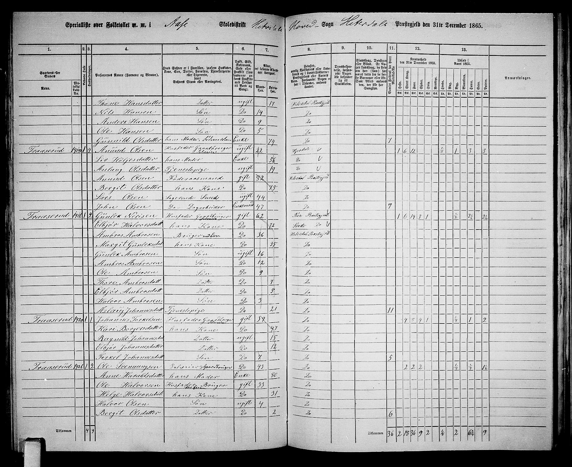 RA, 1865 census for Heddal, 1865, p. 115