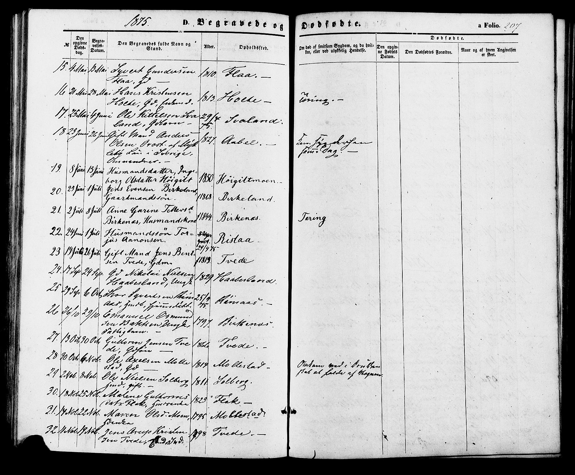 Birkenes sokneprestkontor, AV/SAK-1111-0004/F/Fa/L0004: Parish register (official) no. A 4, 1867-1886, p. 207