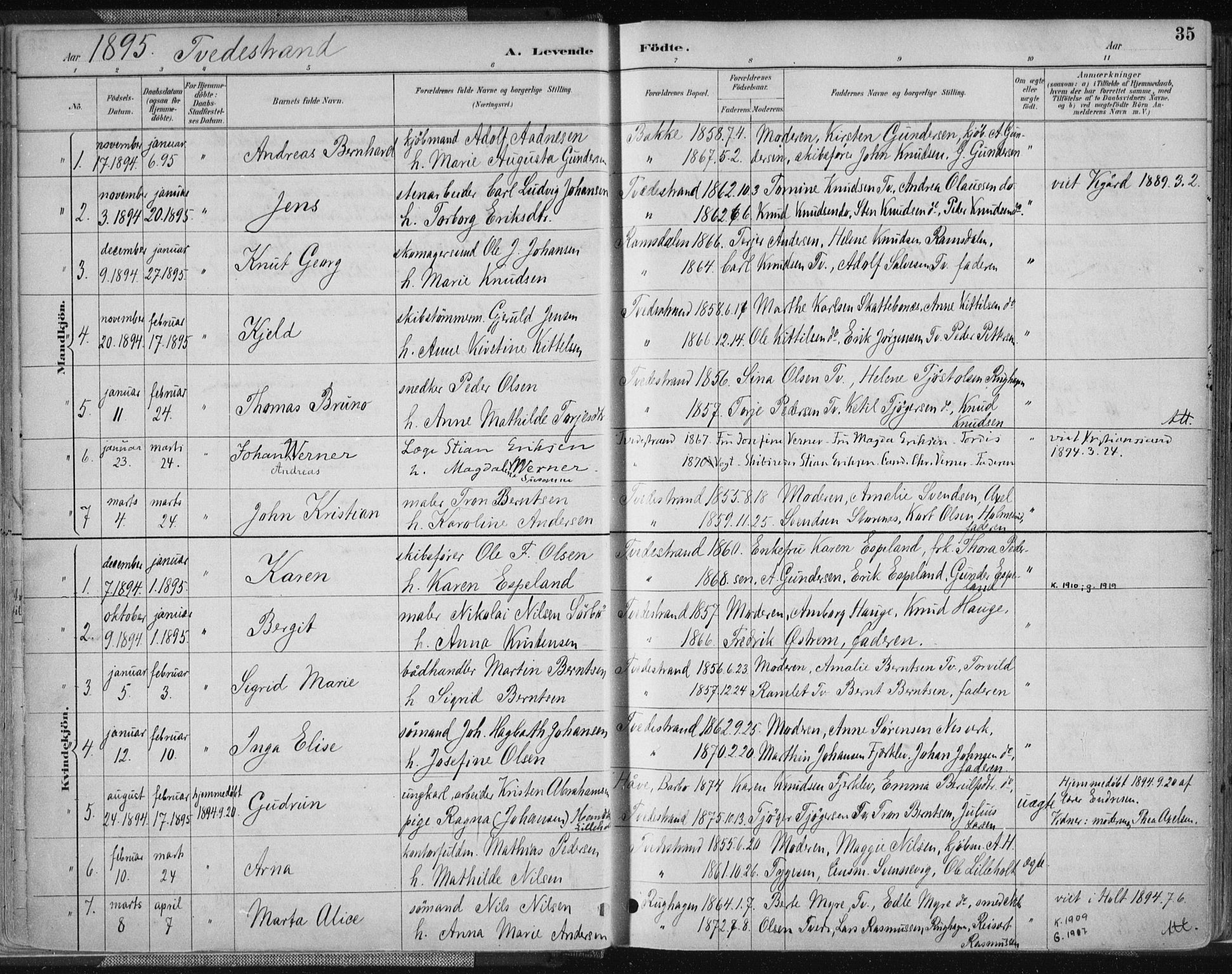 Tvedestrand sokneprestkontor, SAK/1111-0042/F/Fa/L0001: Parish register (official) no. A 1, 1885-1916, p. 35
