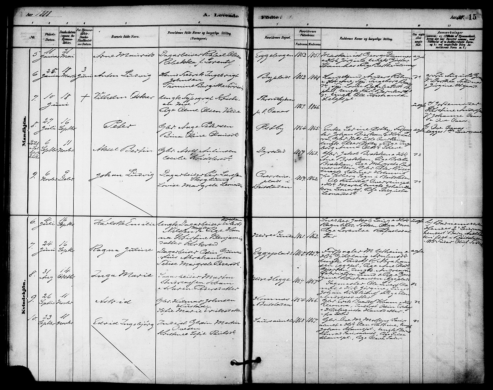 Ministerialprotokoller, klokkerbøker og fødselsregistre - Nord-Trøndelag, SAT/A-1458/740/L0378: Parish register (official) no. 740A01, 1881-1895, p. 15
