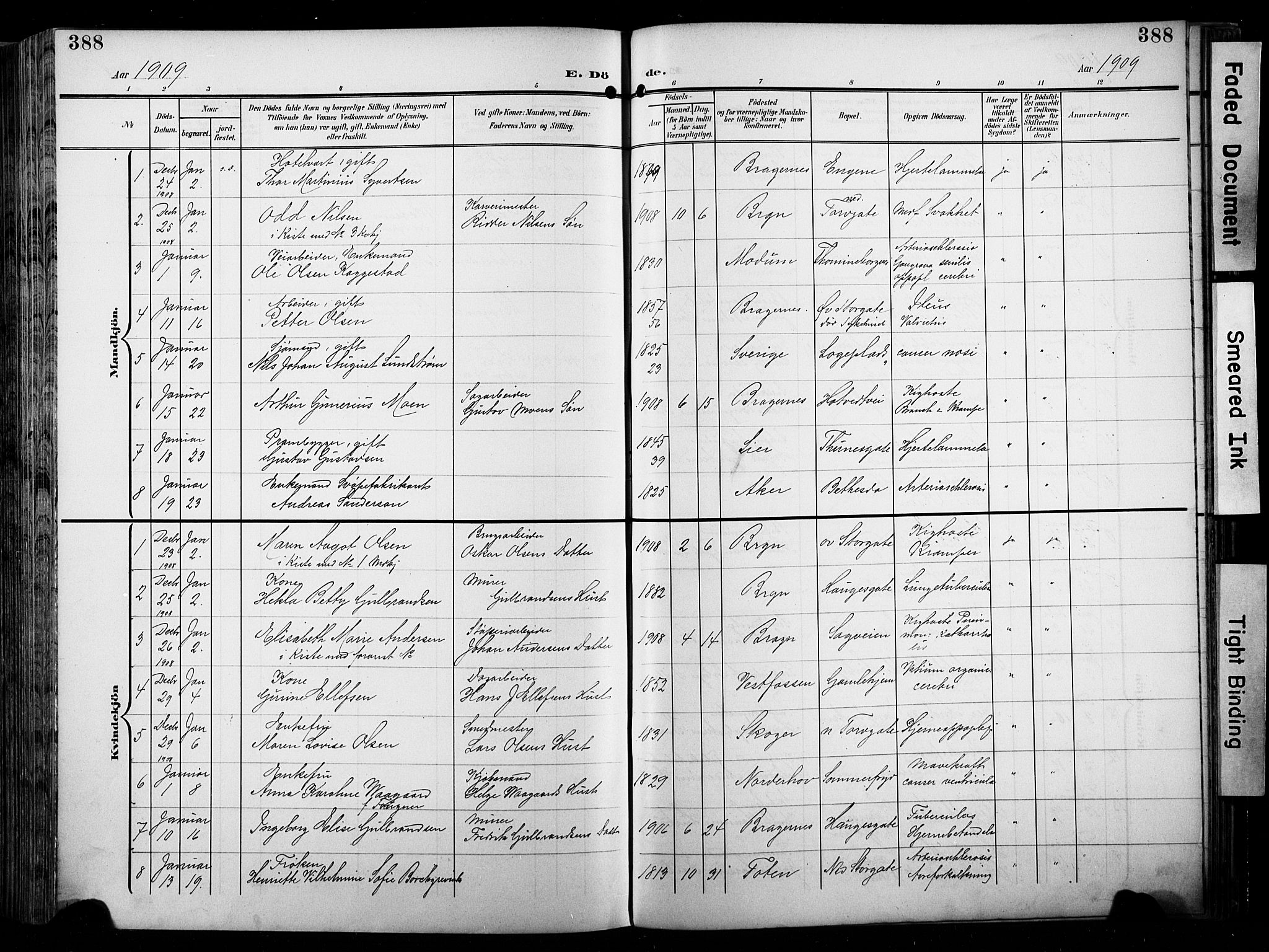 Bragernes kirkebøker, SAKO/A-6/F/Fb/L0009: Parish register (official) no. II 9, 1902-1911, p. 388