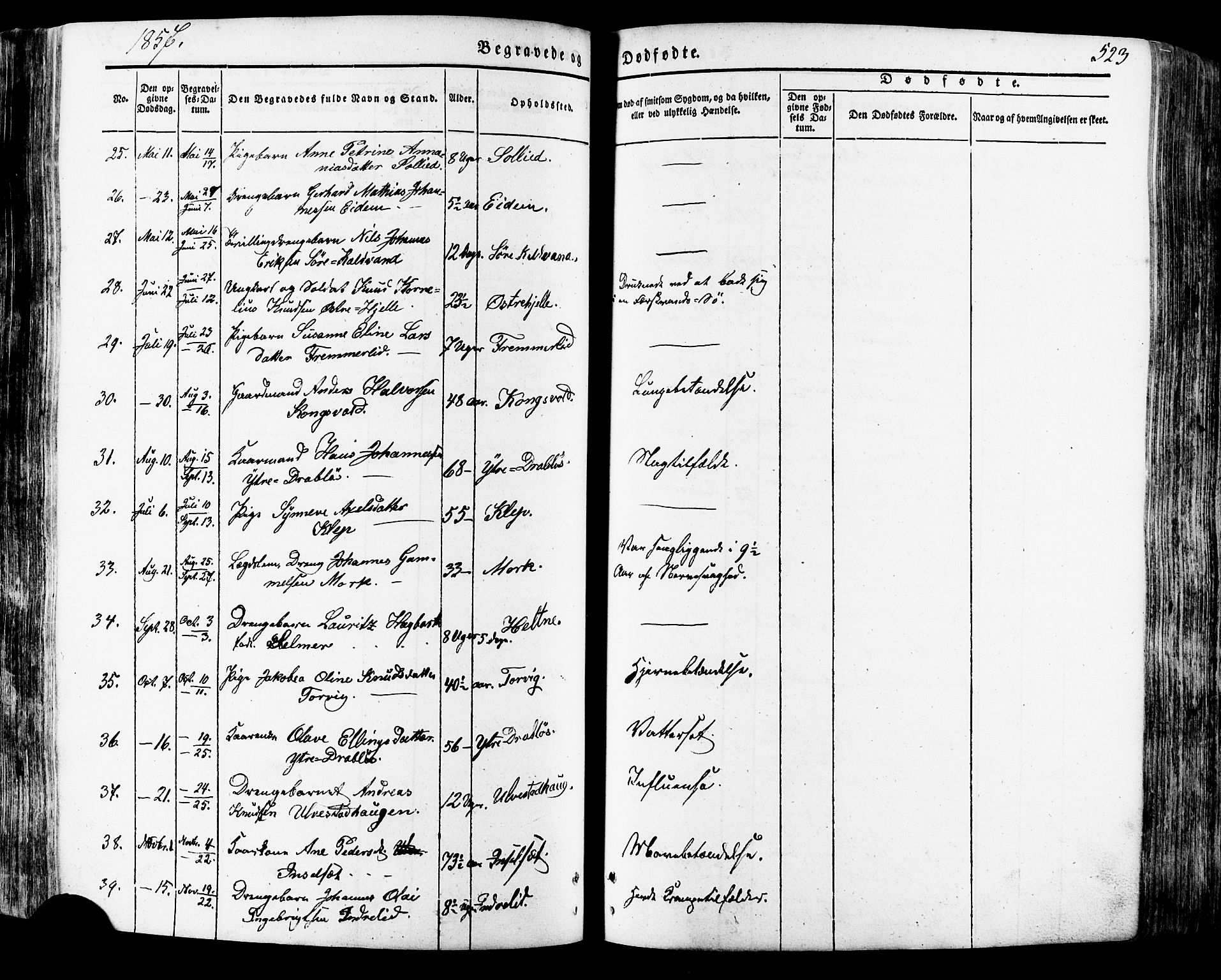 Ministerialprotokoller, klokkerbøker og fødselsregistre - Møre og Romsdal, AV/SAT-A-1454/511/L0140: Parish register (official) no. 511A07, 1851-1878, p. 523