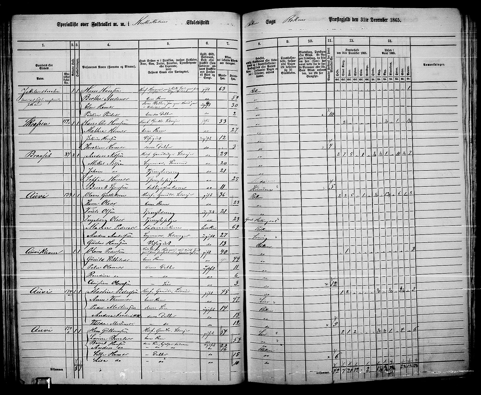 RA, 1865 census for Røyken, 1865, p. 43