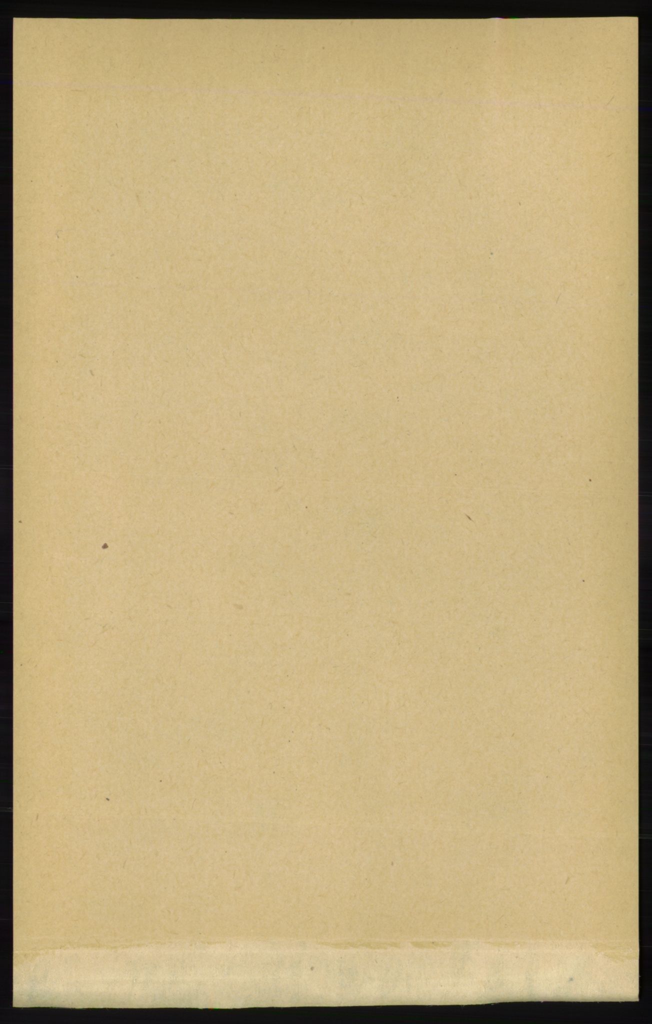 RA, 1891 census for 1154 Skjold, 1891, p. 2249