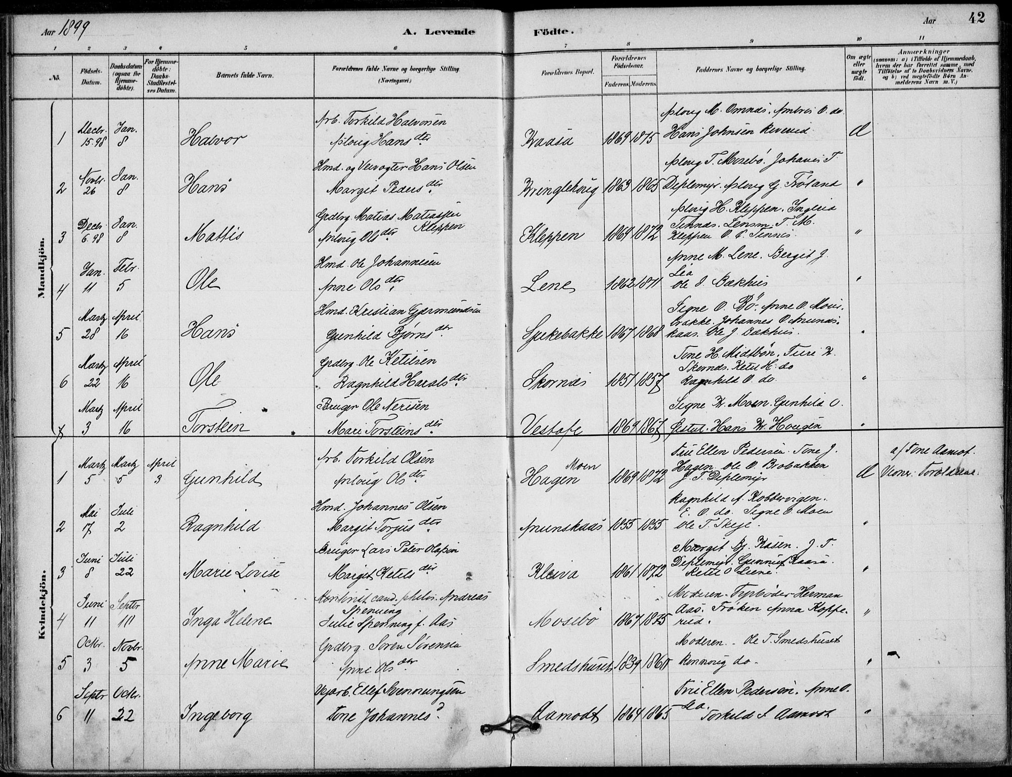 Hjartdal kirkebøker, SAKO/A-270/F/Fb/L0002: Parish register (official) no. II 2, 1880-1932, p. 42