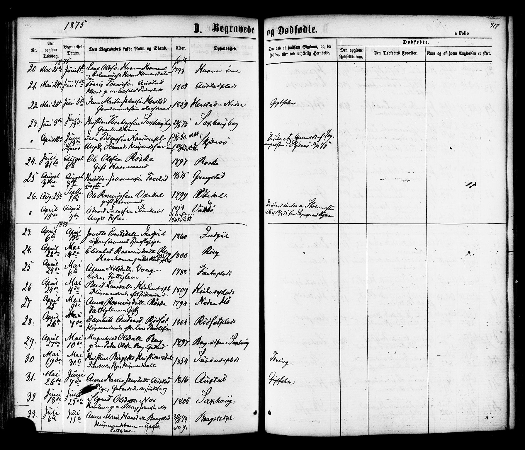 Ministerialprotokoller, klokkerbøker og fødselsregistre - Nord-Trøndelag, AV/SAT-A-1458/730/L0284: Parish register (official) no. 730A09, 1866-1878, p. 317