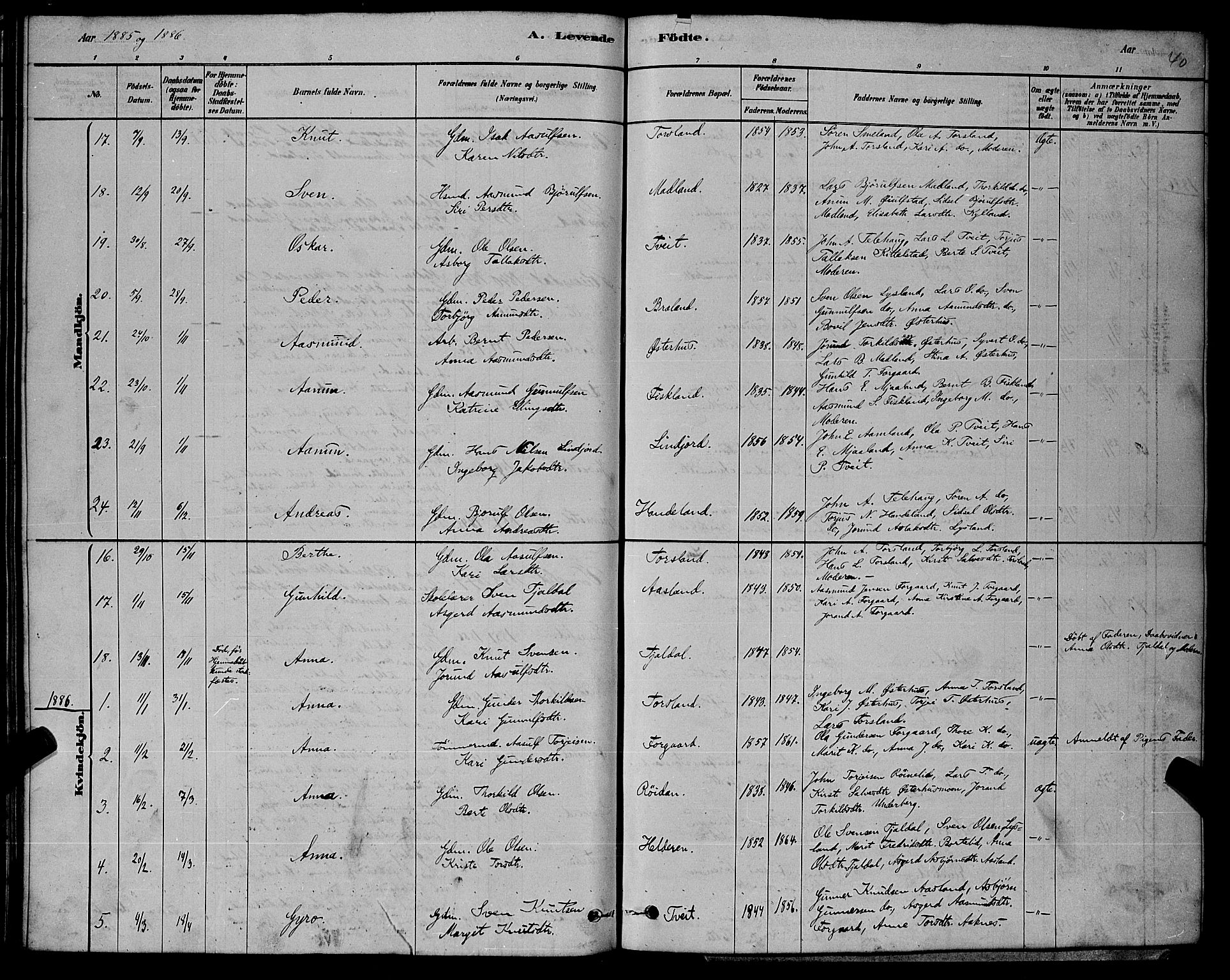 Åseral sokneprestkontor, SAK/1111-0051/F/Fb/L0002: Parish register (copy) no. B 2, 1878-1899, p. 40