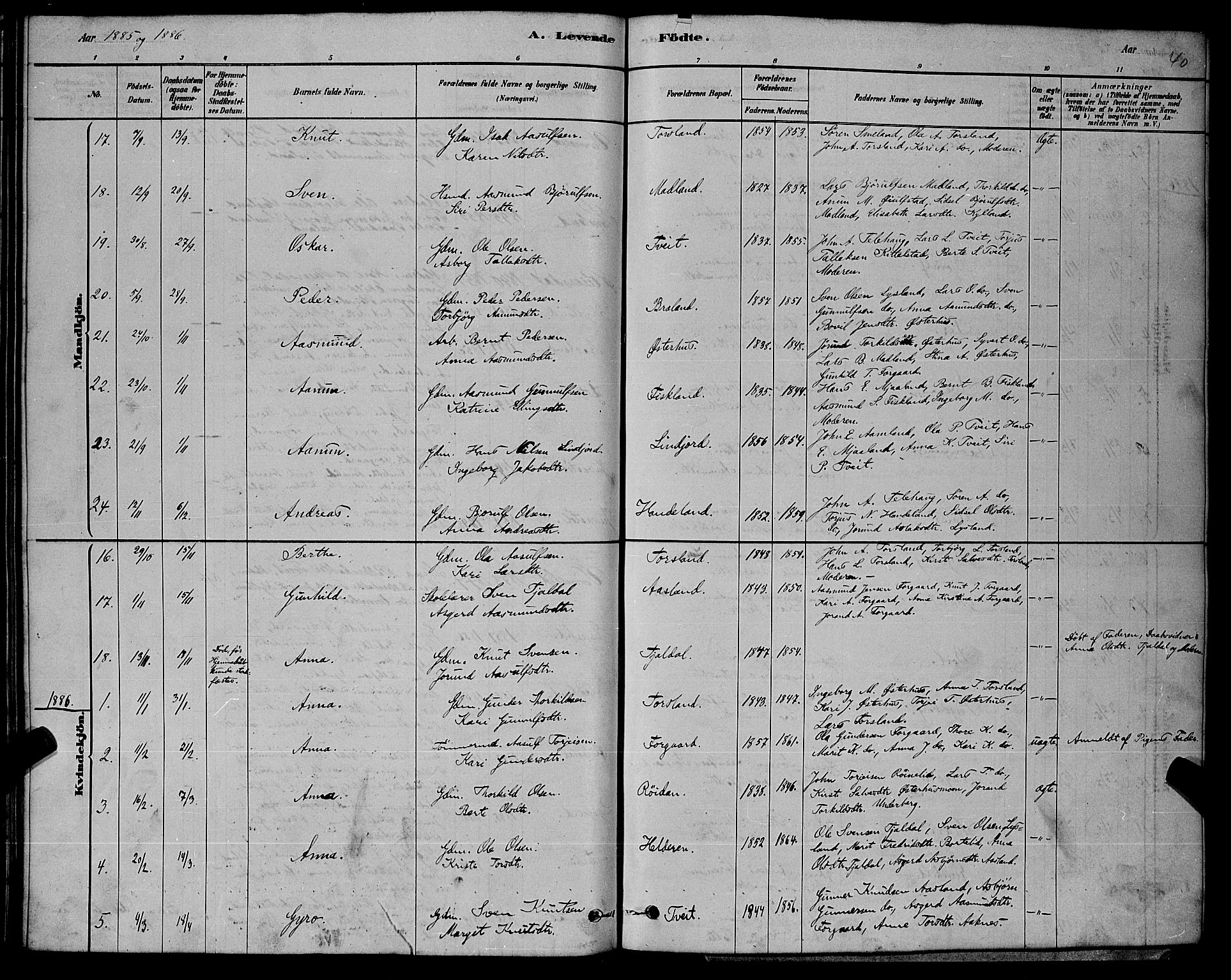 Åseral sokneprestkontor, AV/SAK-1111-0051/F/Fb/L0002: Parish register (copy) no. B 2, 1878-1899, p. 40