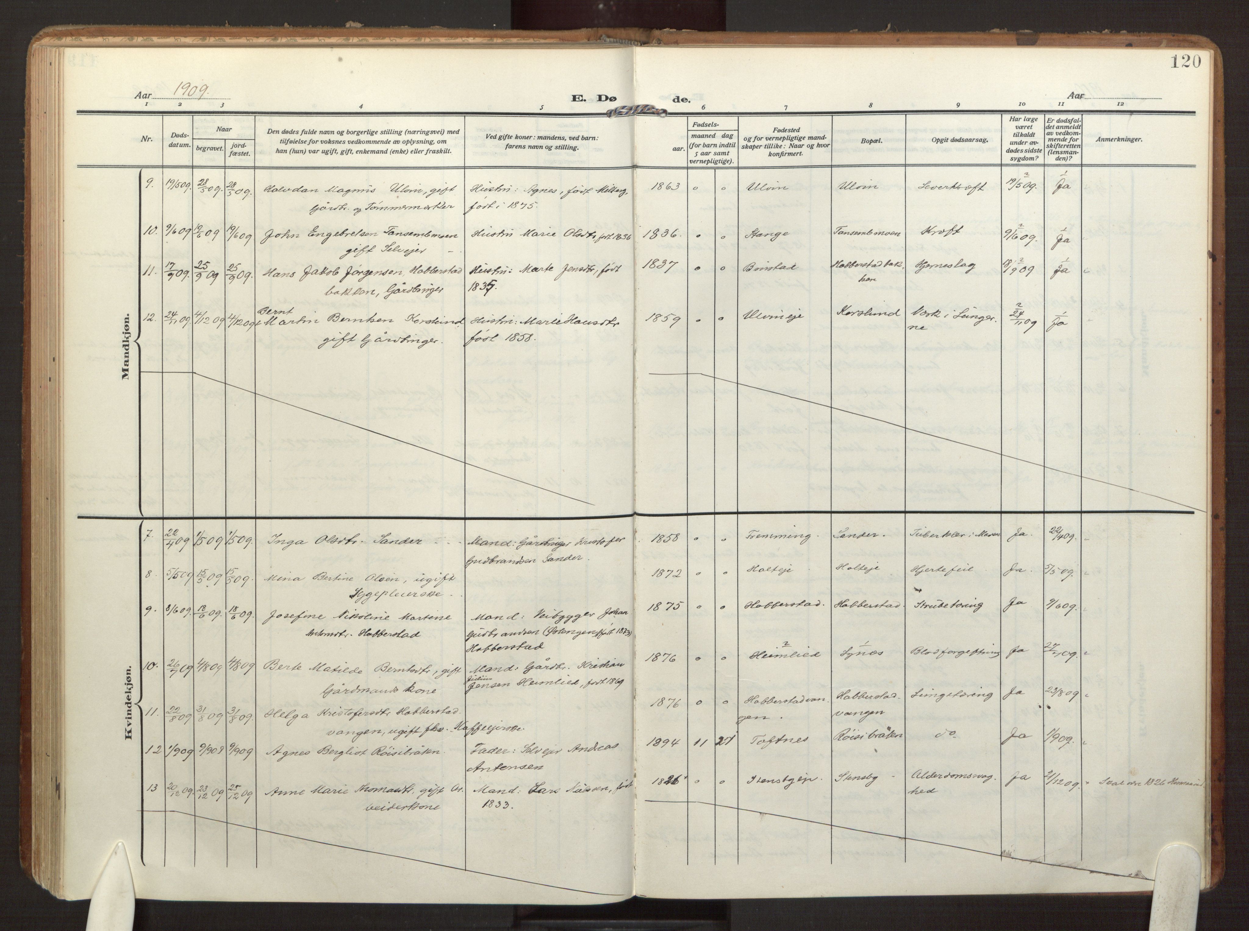 Eidsvoll prestekontor Kirkebøker, AV/SAO-A-10888/F/Fb/L0004: Parish register (official) no. II 4, 1909-1919, p. 120