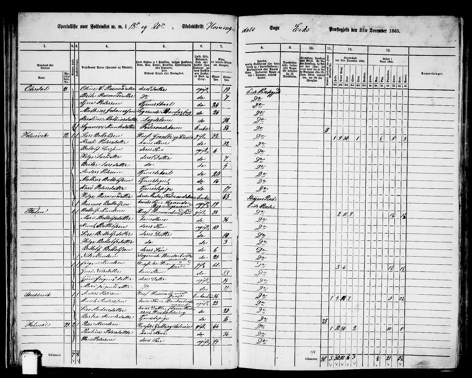 RA, 1865 census for Eid, 1865, p. 38