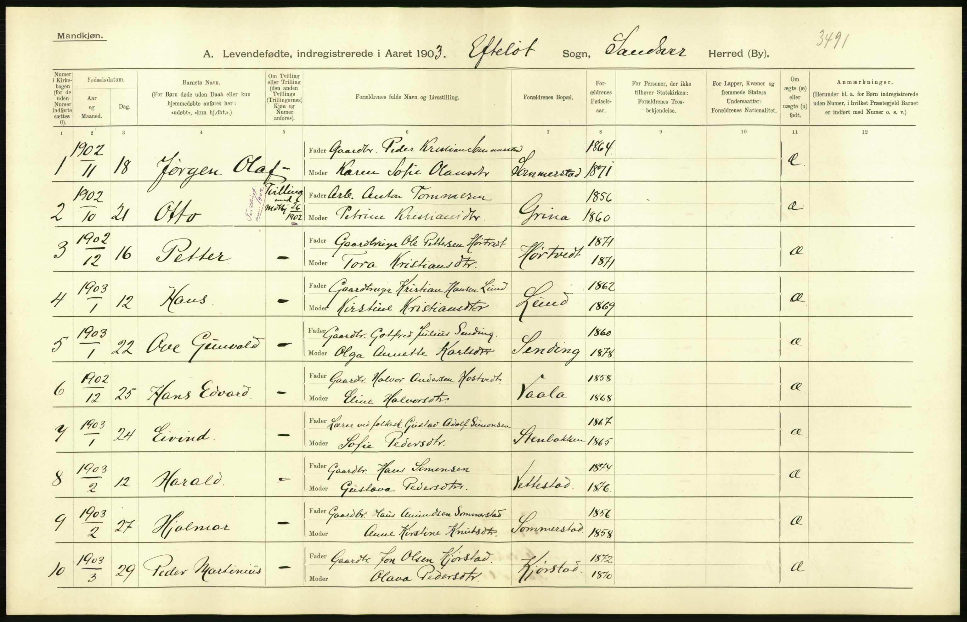 Statistisk sentralbyrå, Sosiodemografiske emner, Befolkning, AV/RA-S-2228/D/Df/Dfa/Dfaa/L0007: Buskeruds amt: Fødte, gifte, døde, 1903, p. 40