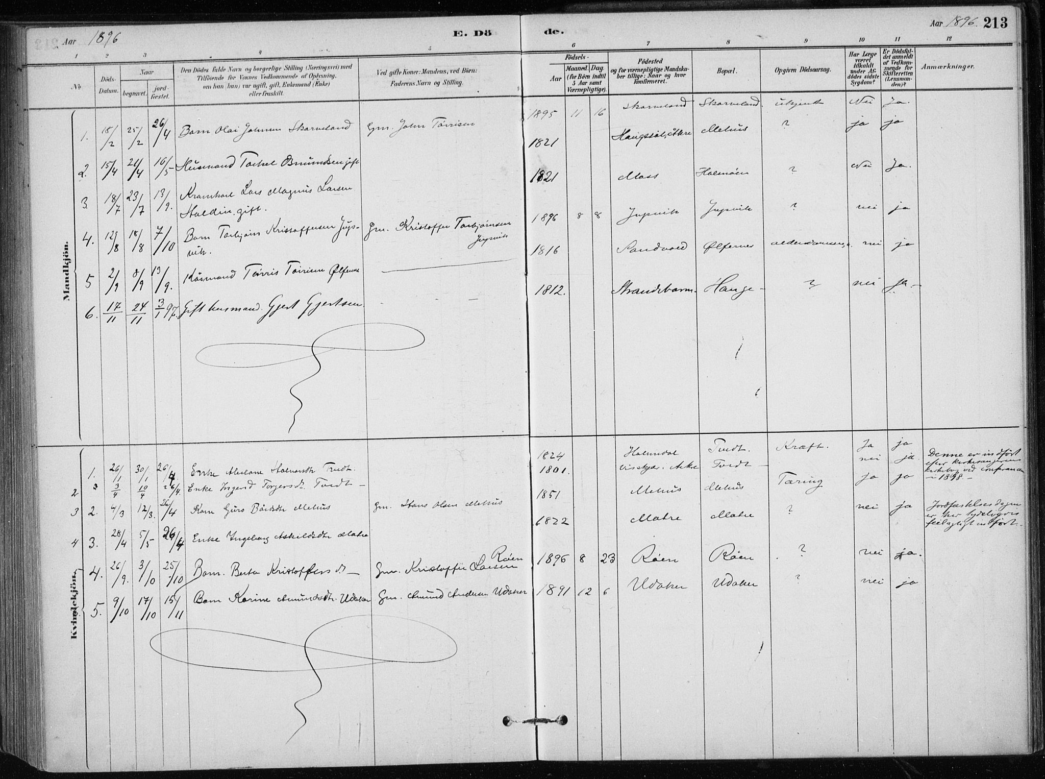 Skånevik sokneprestembete, AV/SAB-A-77801/H/Haa: Parish register (official) no. C  1, 1879-1917, p. 213