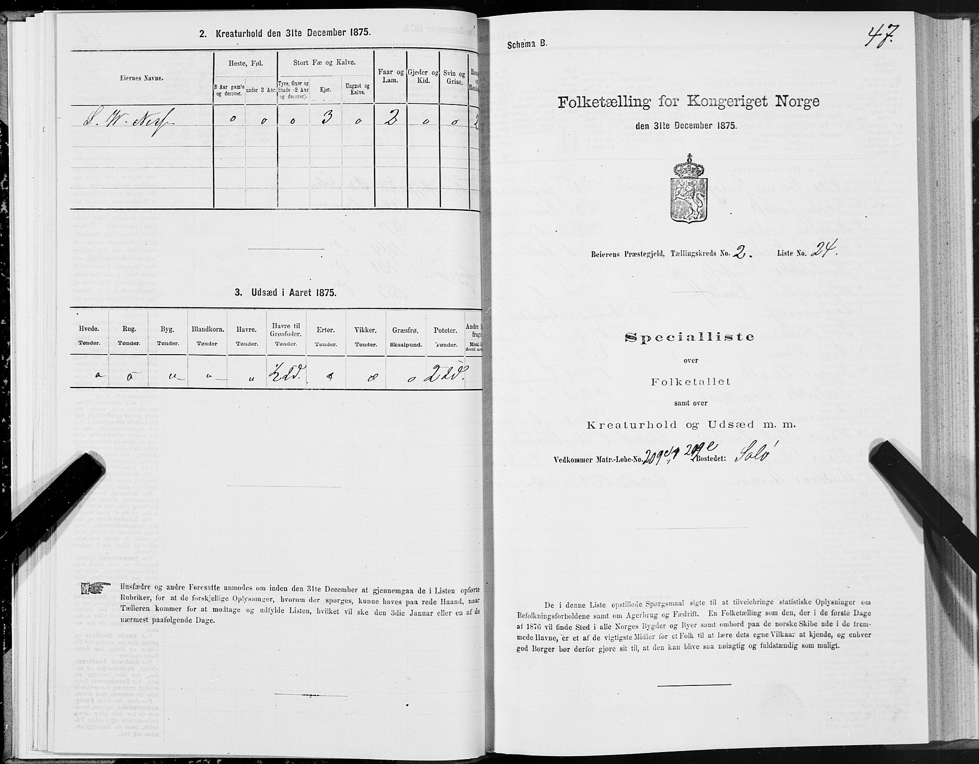 SAT, 1875 census for 1839P Beiarn, 1875, p. 2047