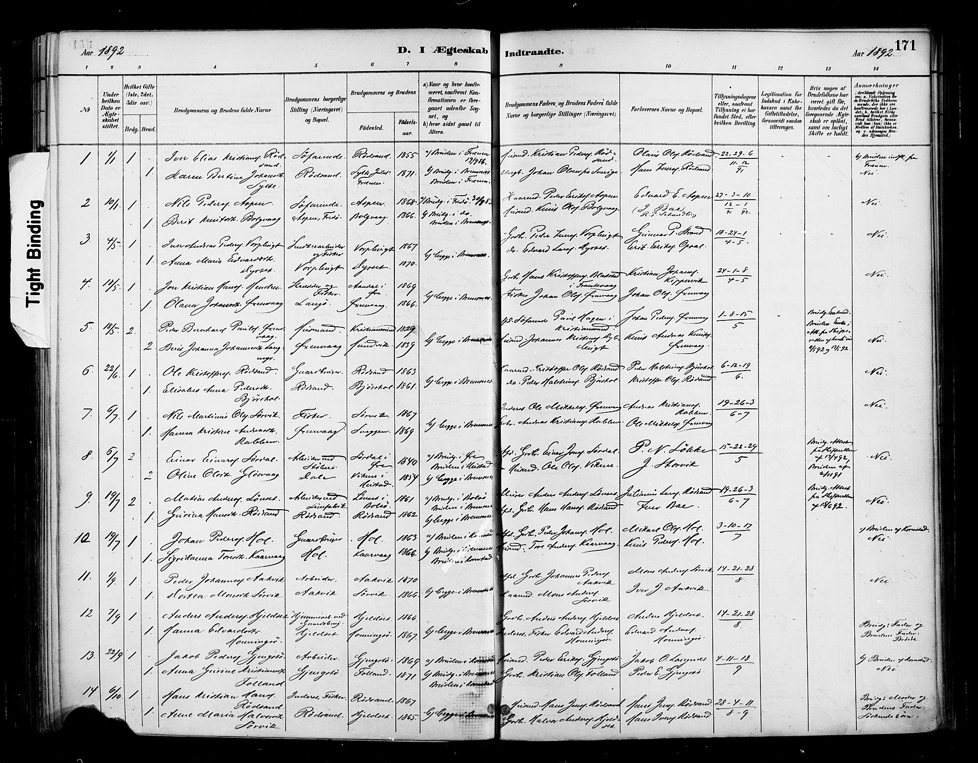 Ministerialprotokoller, klokkerbøker og fødselsregistre - Møre og Romsdal, AV/SAT-A-1454/569/L0819: Parish register (official) no. 569A05, 1885-1899, p. 171