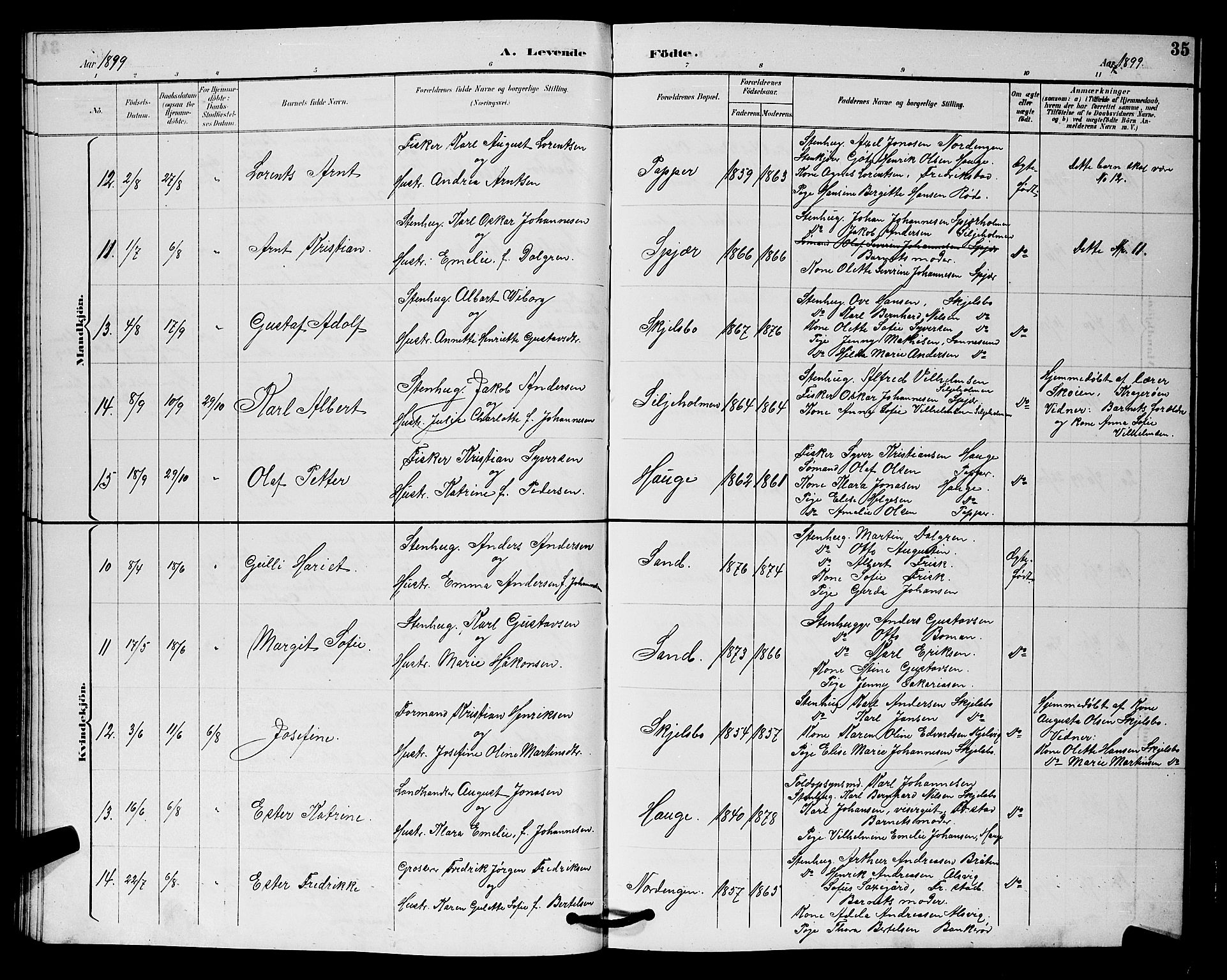 Hvaler prestekontor Kirkebøker, AV/SAO-A-2001/G/Gb/L0001: Parish register (copy) no. II 1, 1892-1904, p. 35