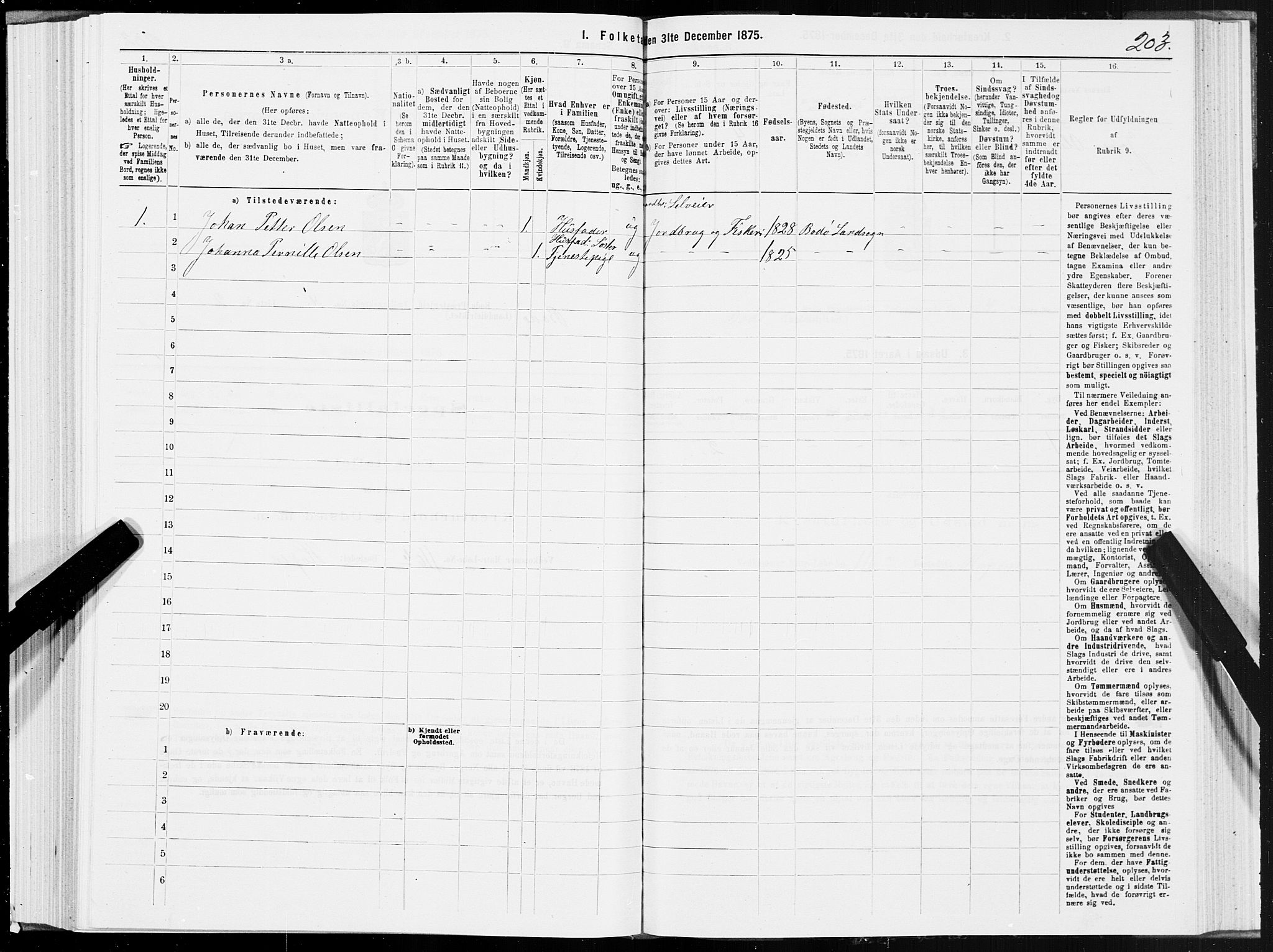 SAT, 1875 census for 1843L Bodø/Bodø, 1875, p. 2203