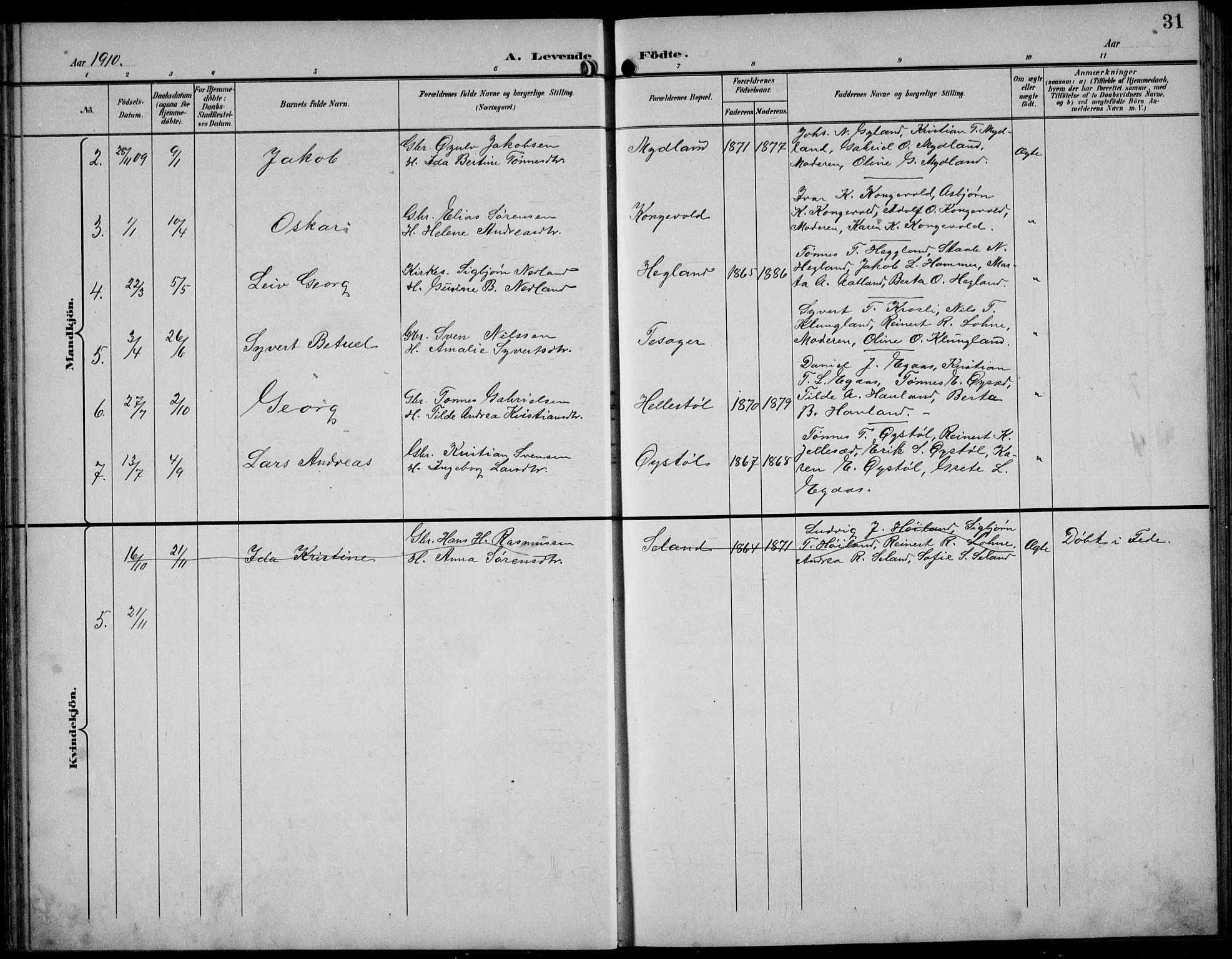 Bakke sokneprestkontor, AV/SAK-1111-0002/F/Fb/Fbb/L0004: Parish register (copy) no. B 4, 1896-1927, p. 31