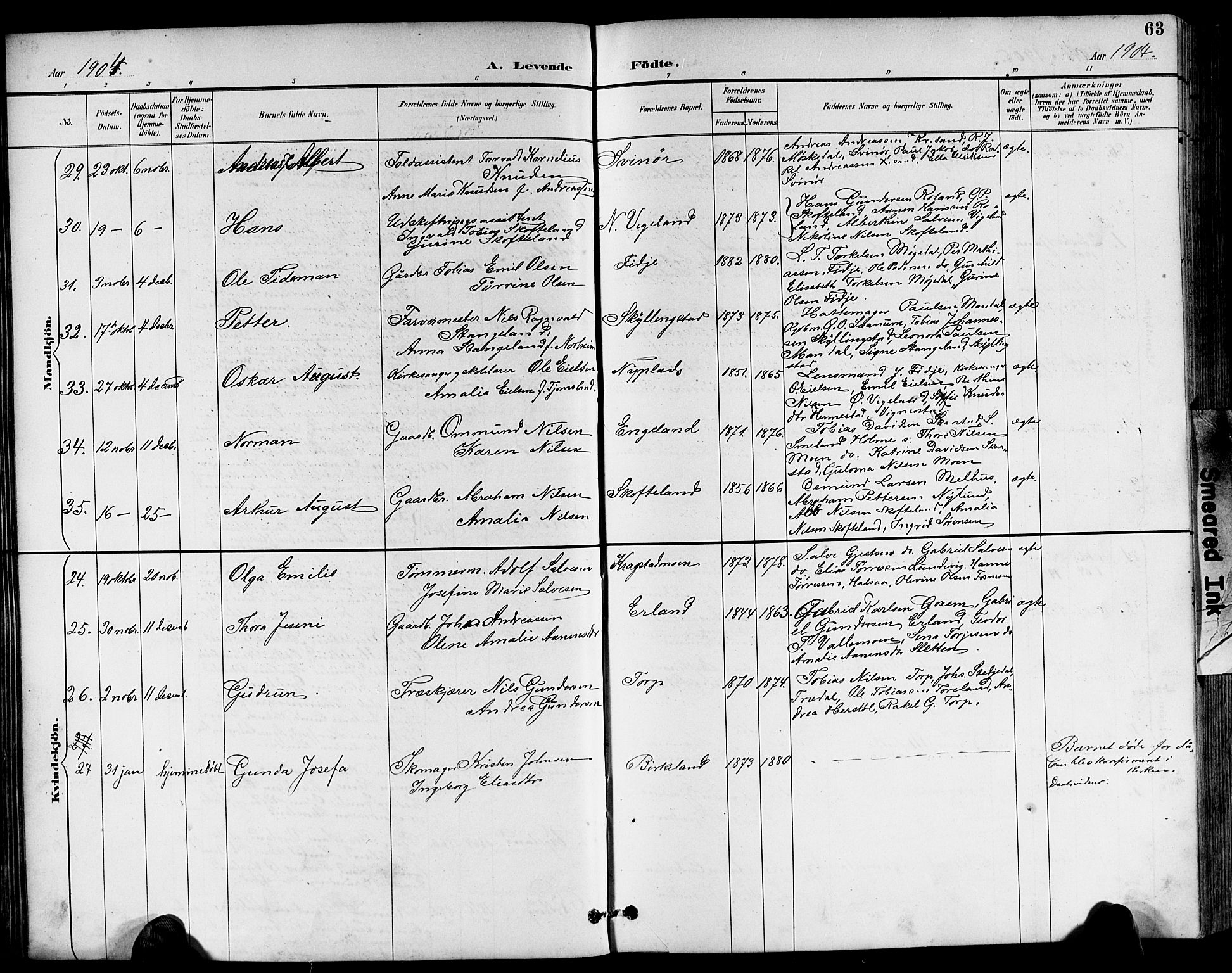 Sør-Audnedal sokneprestkontor, AV/SAK-1111-0039/F/Fb/Fbb/L0006: Parish register (copy) no. B 6, 1893-1915, p. 63