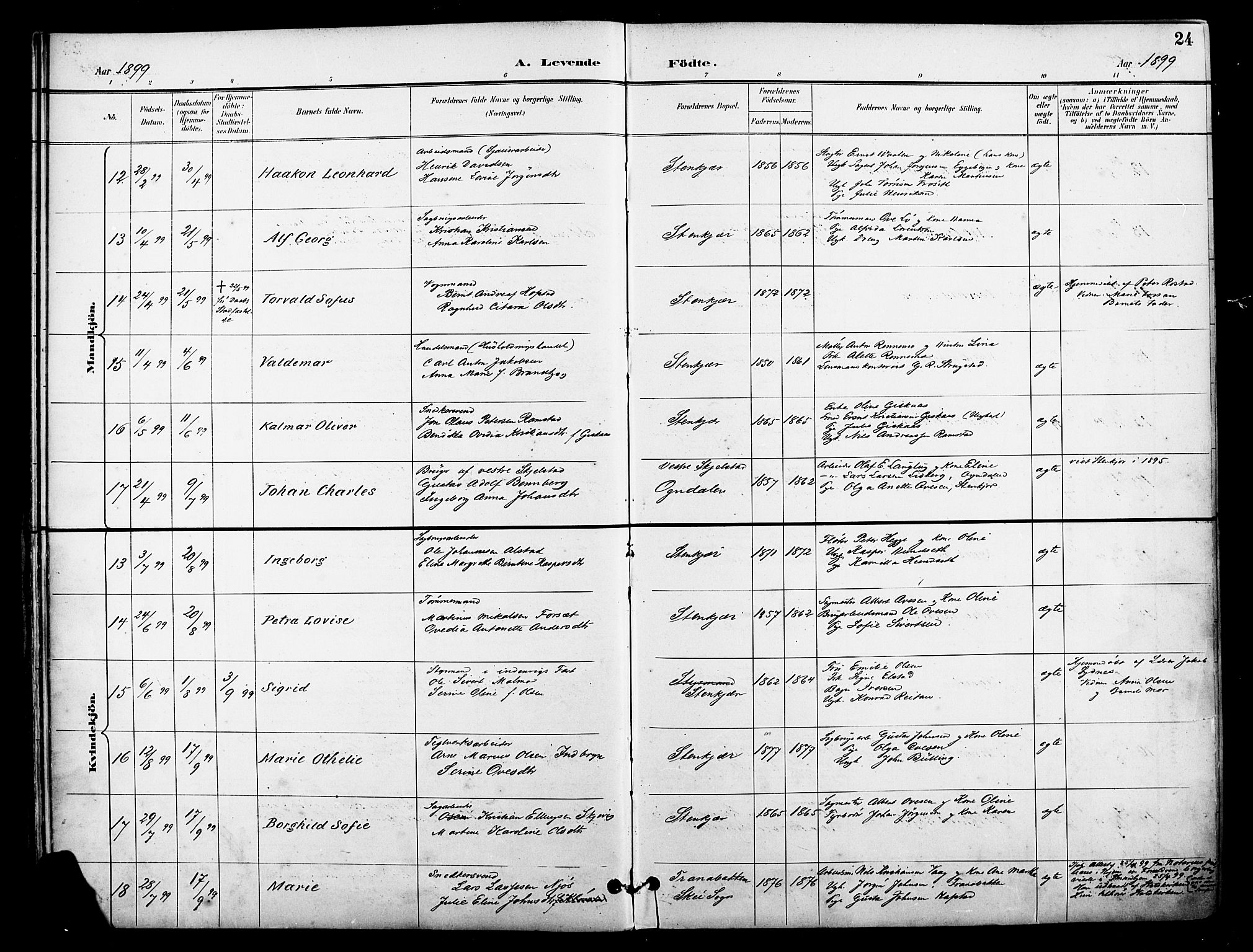 Ministerialprotokoller, klokkerbøker og fødselsregistre - Nord-Trøndelag, AV/SAT-A-1458/739/L0372: Parish register (official) no. 739A04, 1895-1903, p. 24