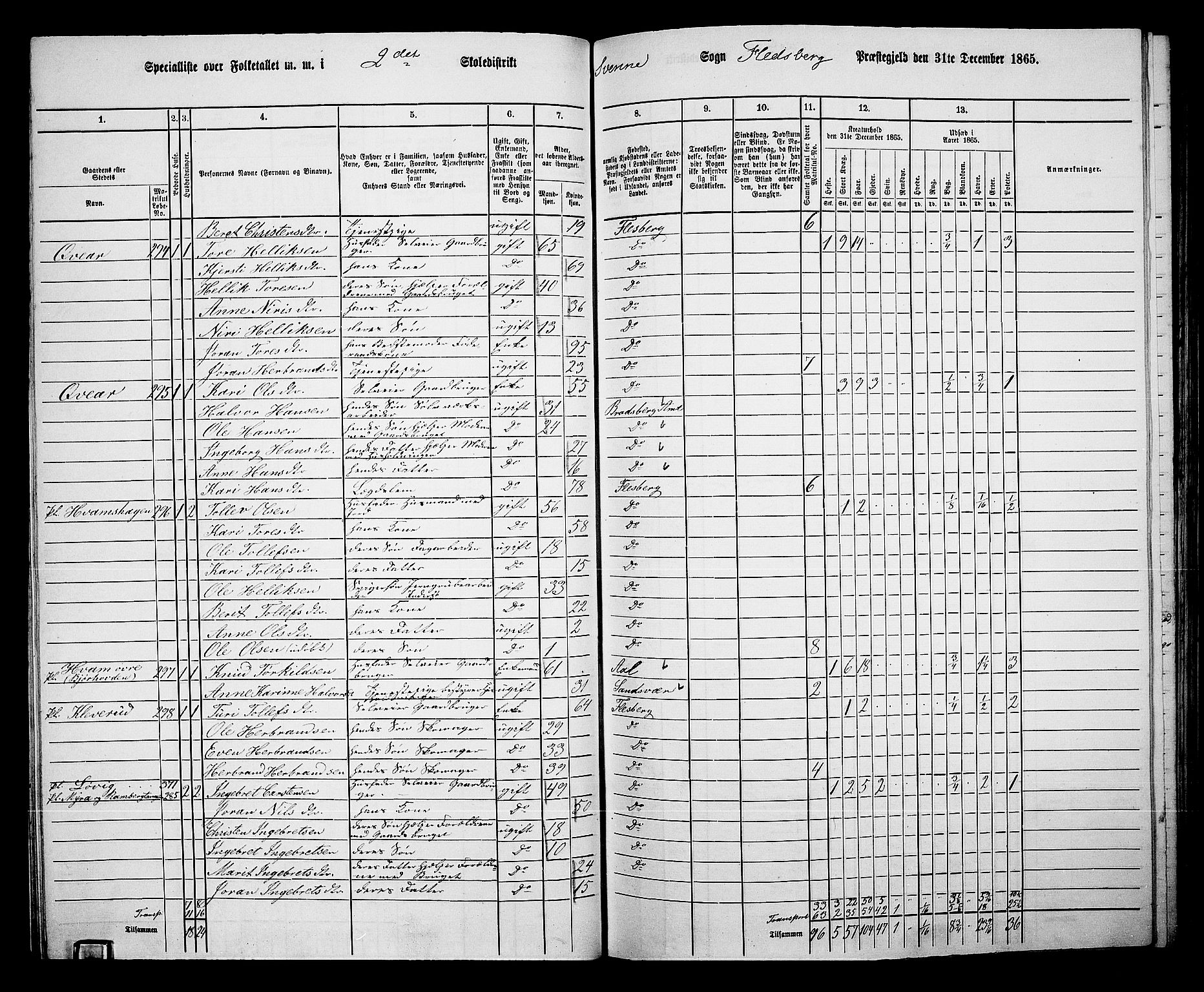 RA, 1865 census for Flesberg, 1865, p. 56