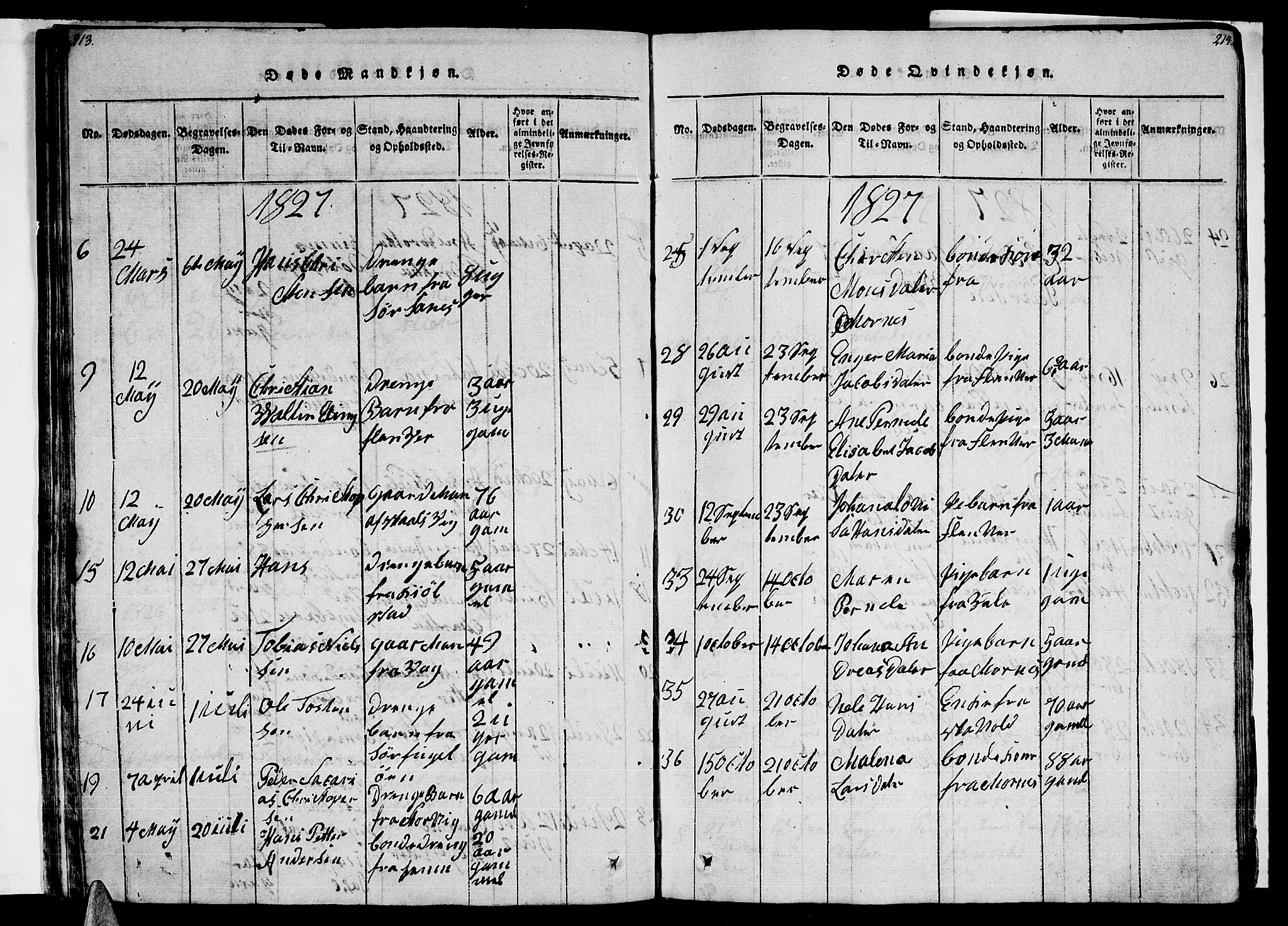 Ministerialprotokoller, klokkerbøker og fødselsregistre - Nordland, AV/SAT-A-1459/805/L0105: Parish register (copy) no. 805C01, 1820-1839, p. 213-214