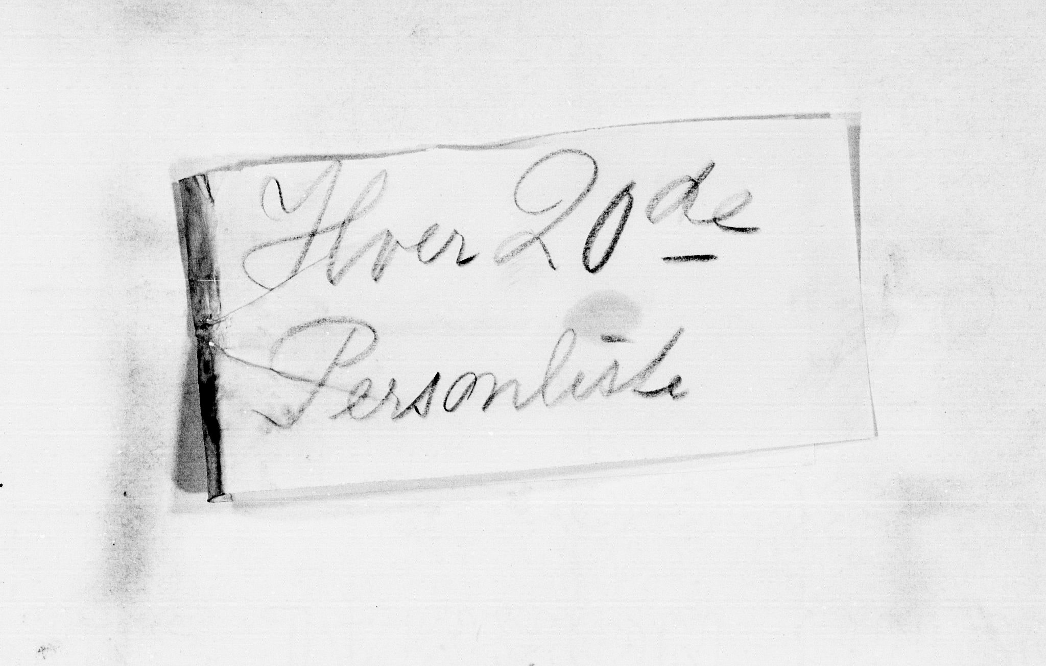 SAKO, 1900 census for Bø, 1900, p. 28