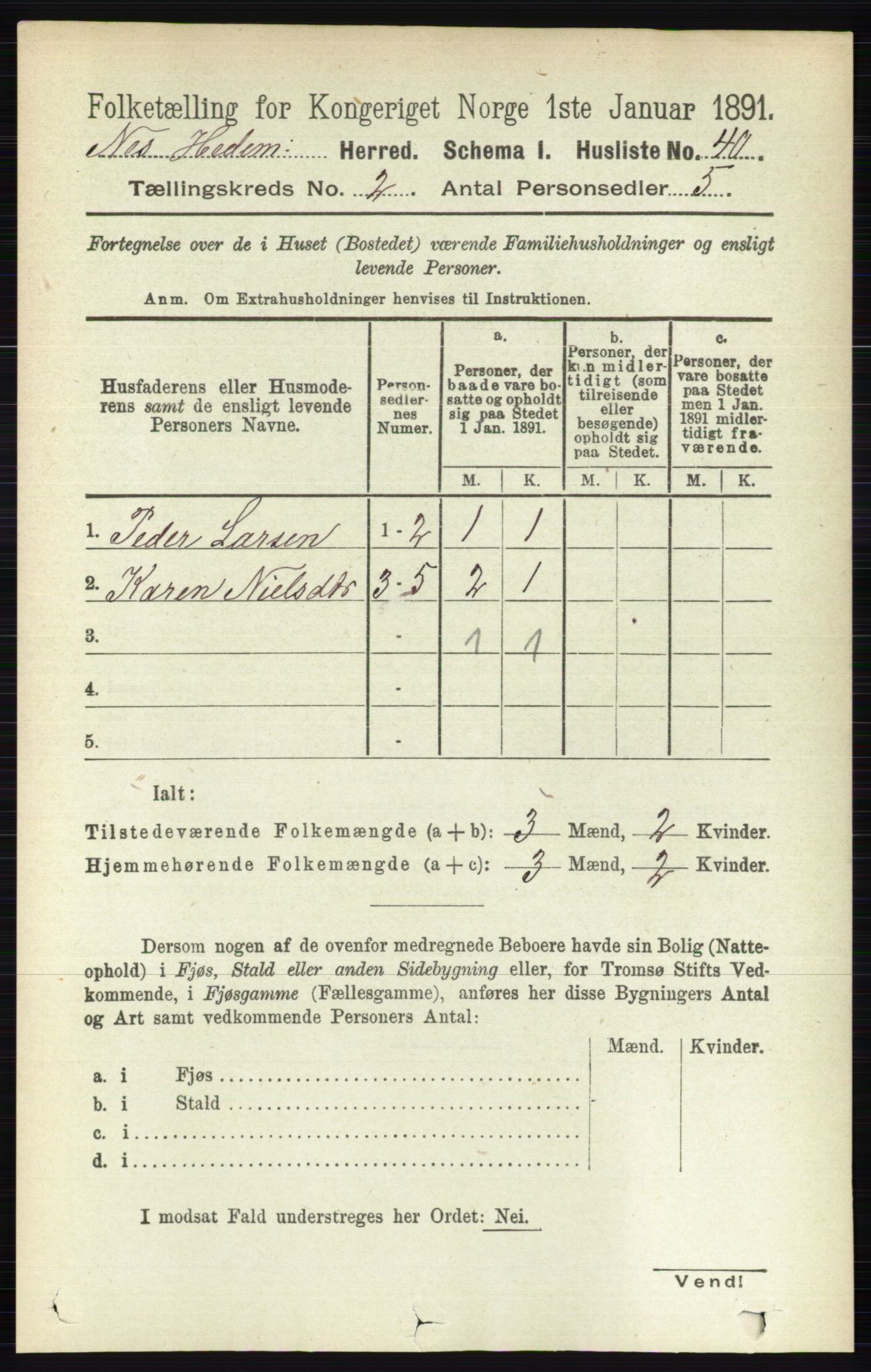 RA, 1891 census for 0411 Nes, 1891, p. 1044