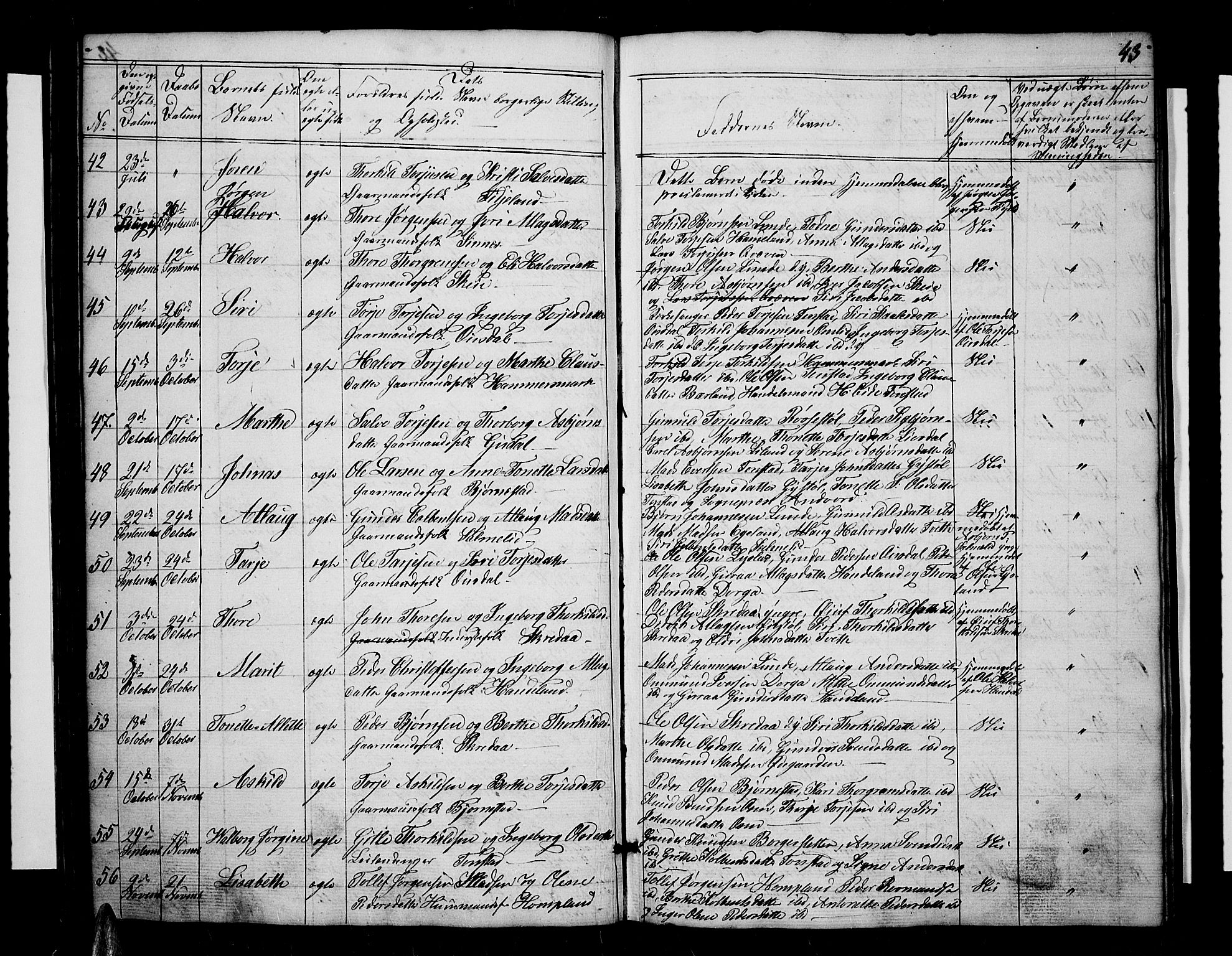 Sirdal sokneprestkontor, SAK/1111-0036/F/Fb/Fbb/L0002: Parish register (copy) no. B 2, 1848-1878, p. 43