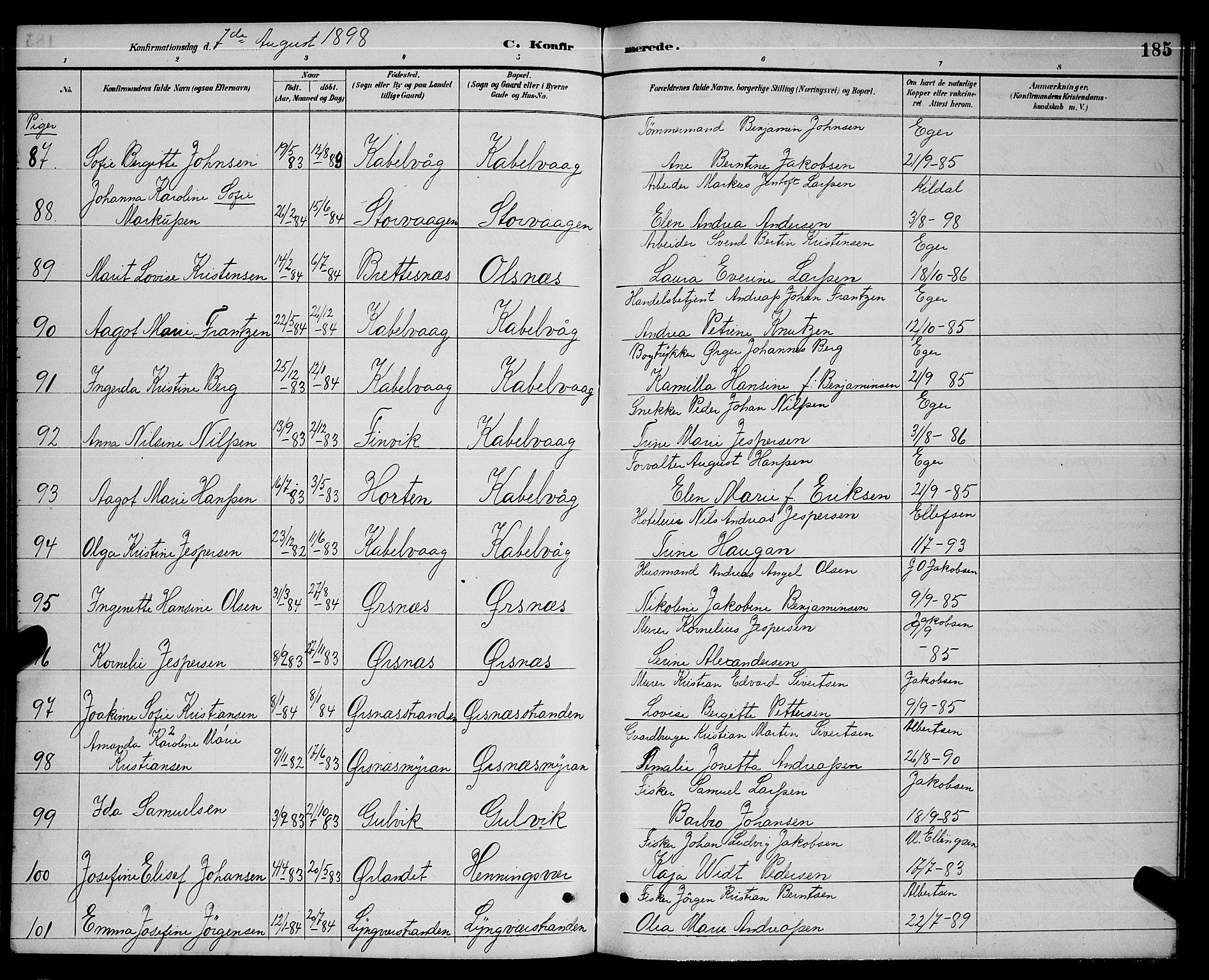 Ministerialprotokoller, klokkerbøker og fødselsregistre - Nordland, AV/SAT-A-1459/874/L1077: Parish register (copy) no. 874C06, 1891-1900, p. 185