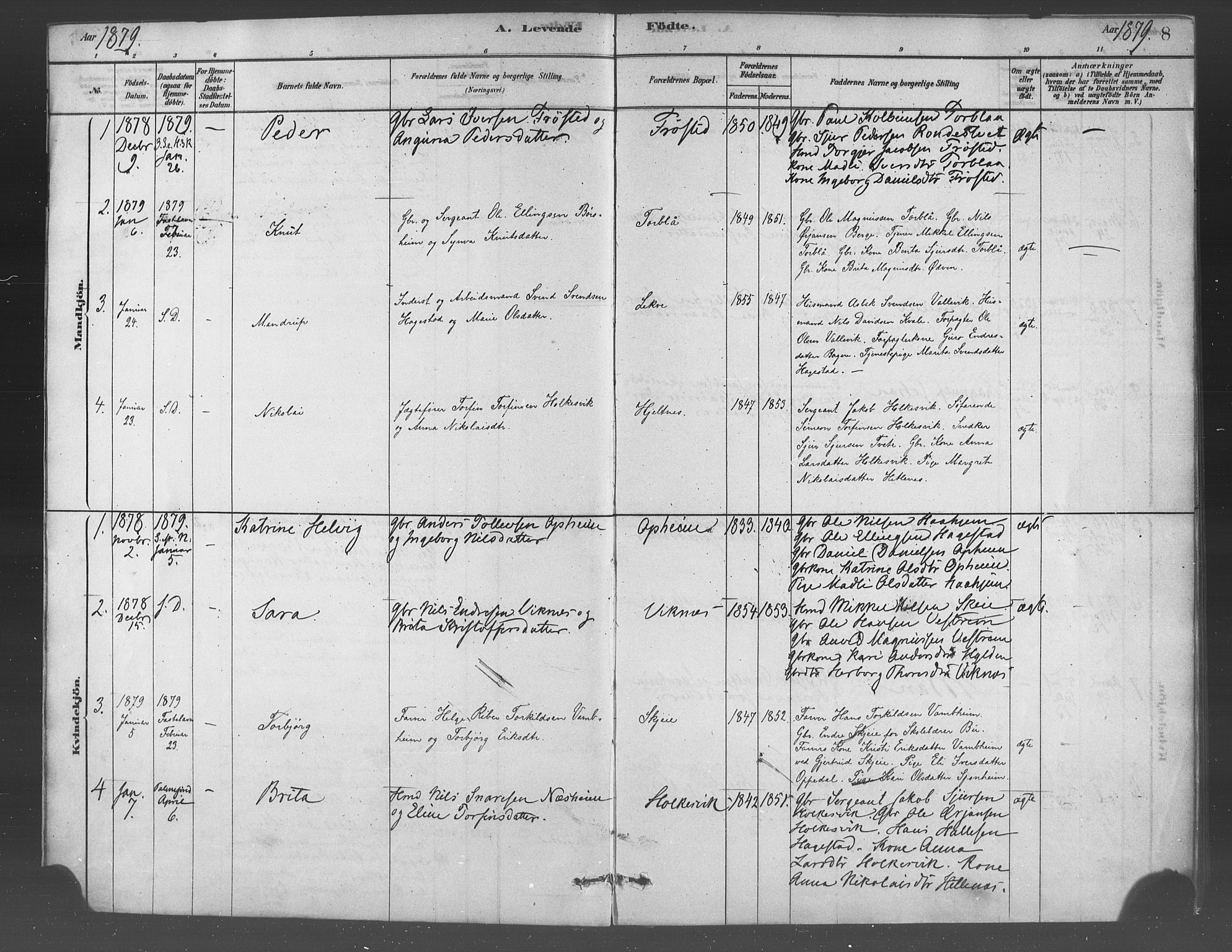 Ulvik sokneprestembete, SAB/A-78801/H/Haa: Parish register (official) no. B 1, 1878-1897, p. 8