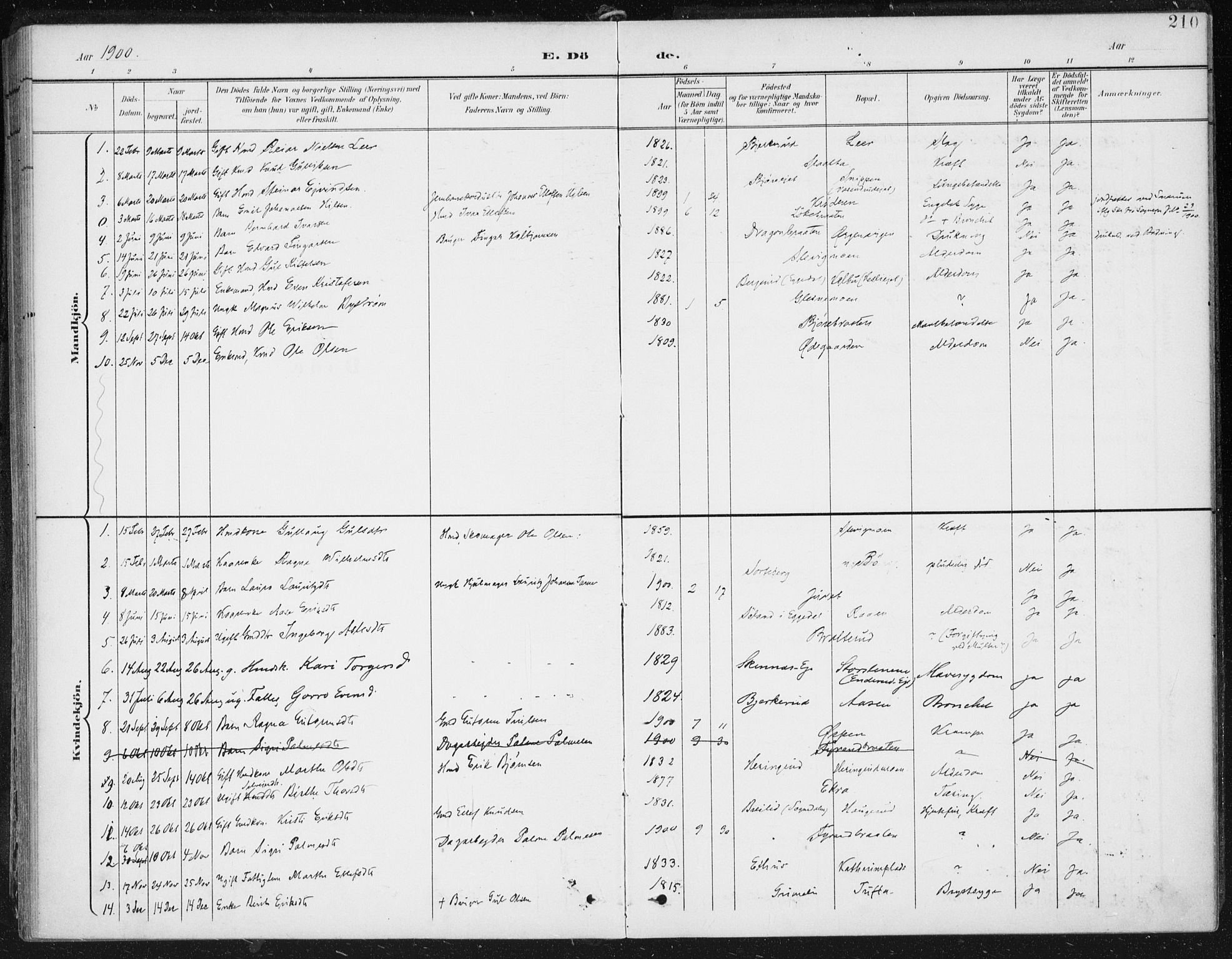 Krødsherad kirkebøker, AV/SAKO-A-19/F/Fa/L0007: Parish register (official) no. 7, 1900-1915, p. 210