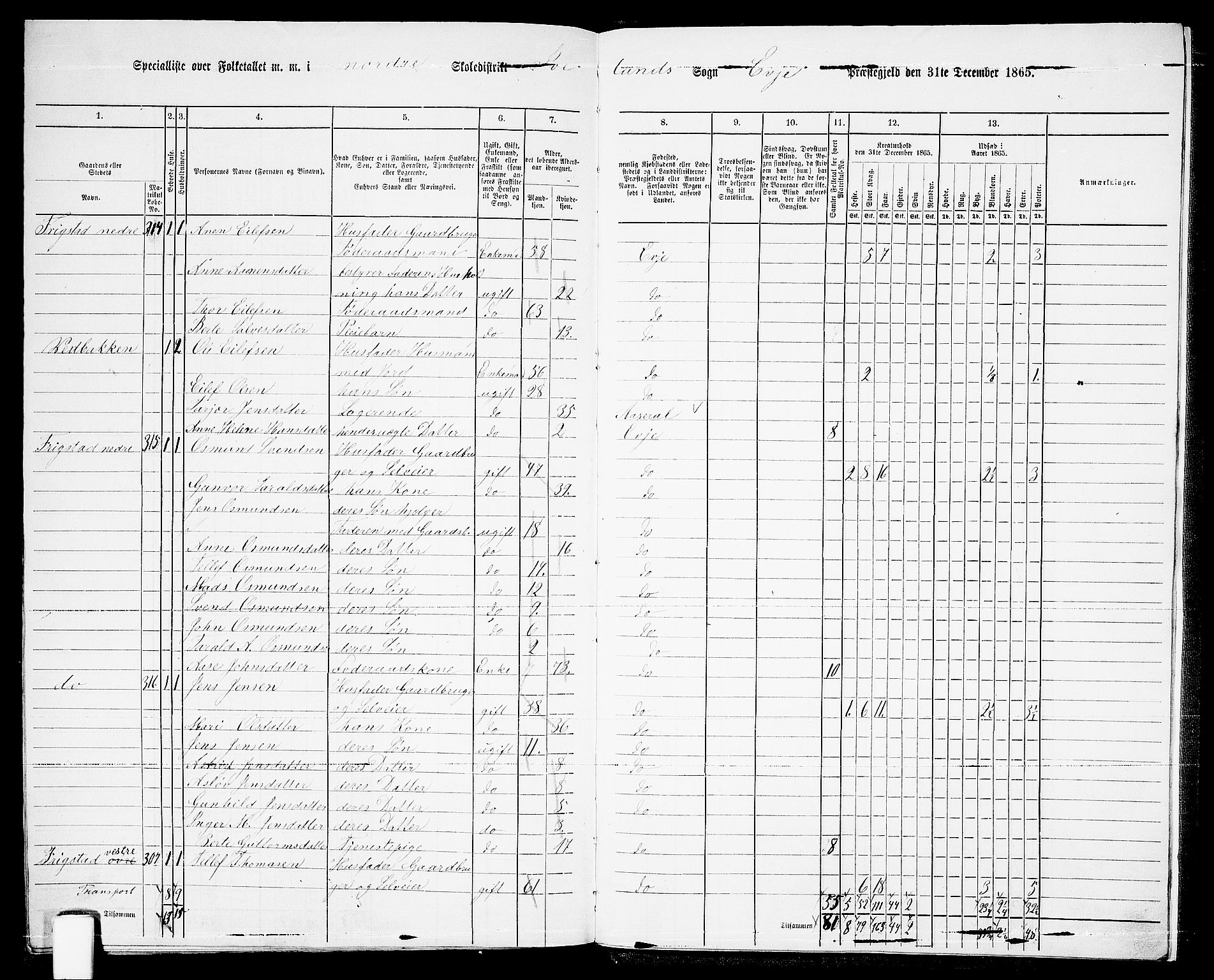 RA, 1865 census for Evje, 1865, p. 173