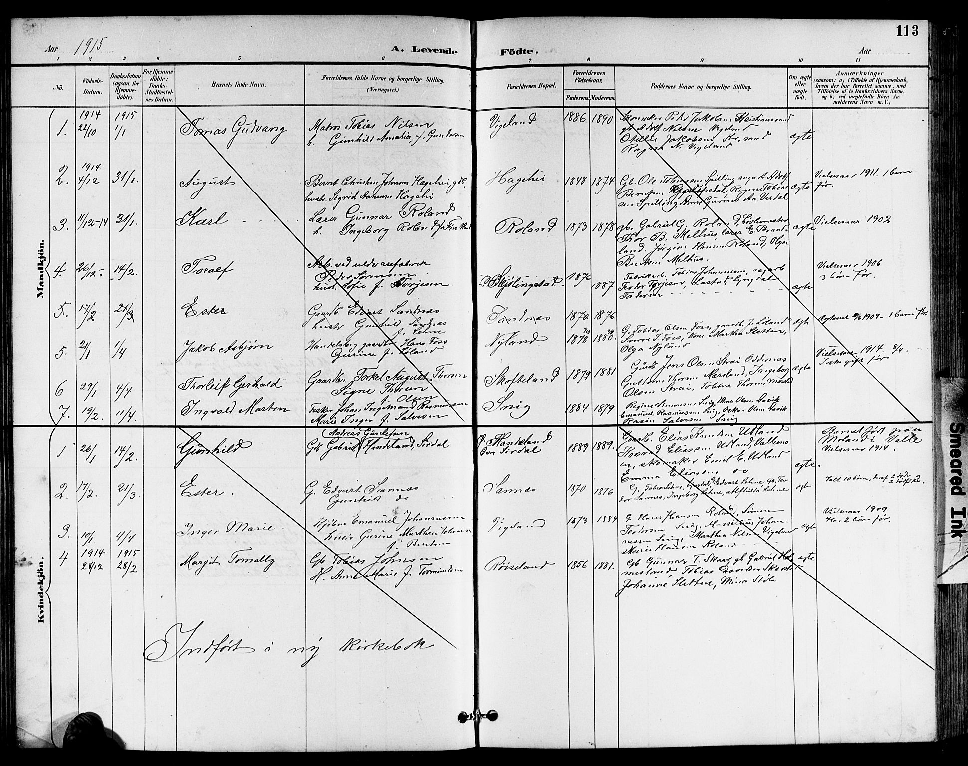 Sør-Audnedal sokneprestkontor, AV/SAK-1111-0039/F/Fb/Fbb/L0006: Parish register (copy) no. B 6, 1893-1915, p. 113