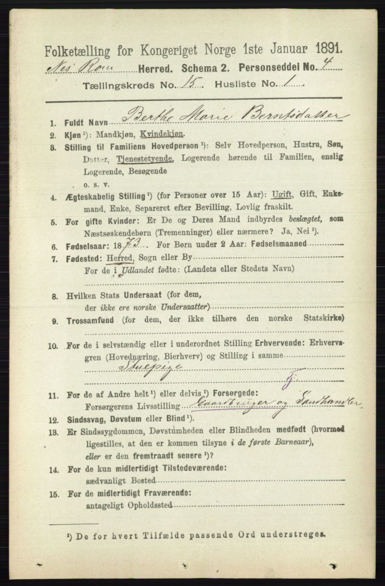 RA, 1891 census for 0236 Nes, 1891, p. 9005