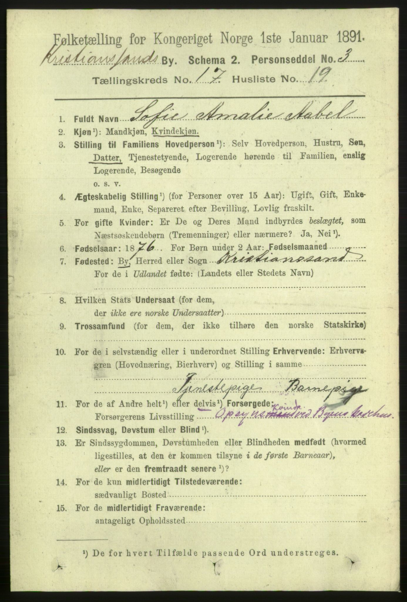 RA, 1891 census for 1001 Kristiansand, 1891, p. 6897