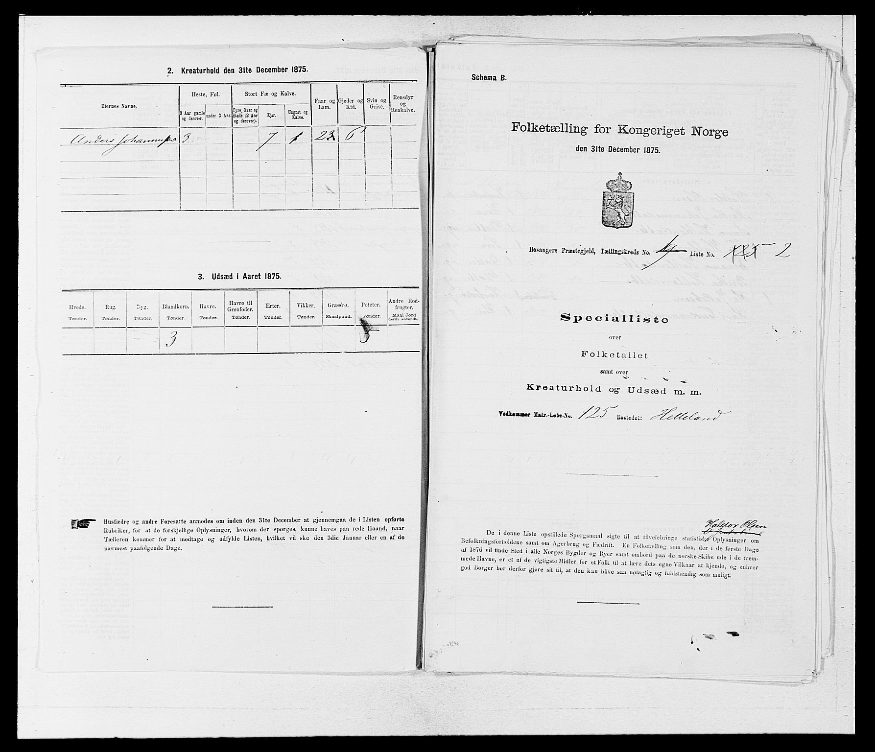 SAB, 1875 census for 1253P Hosanger, 1875, p. 361