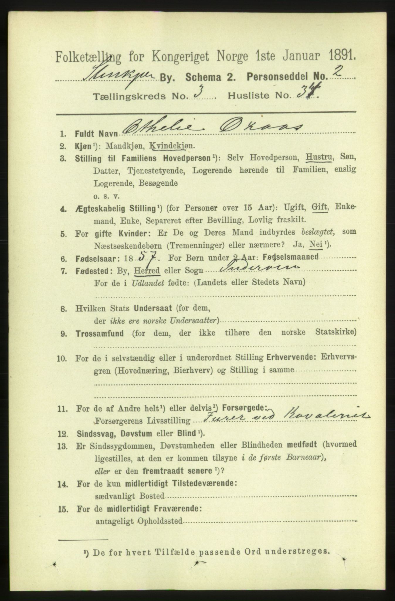 RA, 1891 census for 1702 Steinkjer, 1891, p. 1140