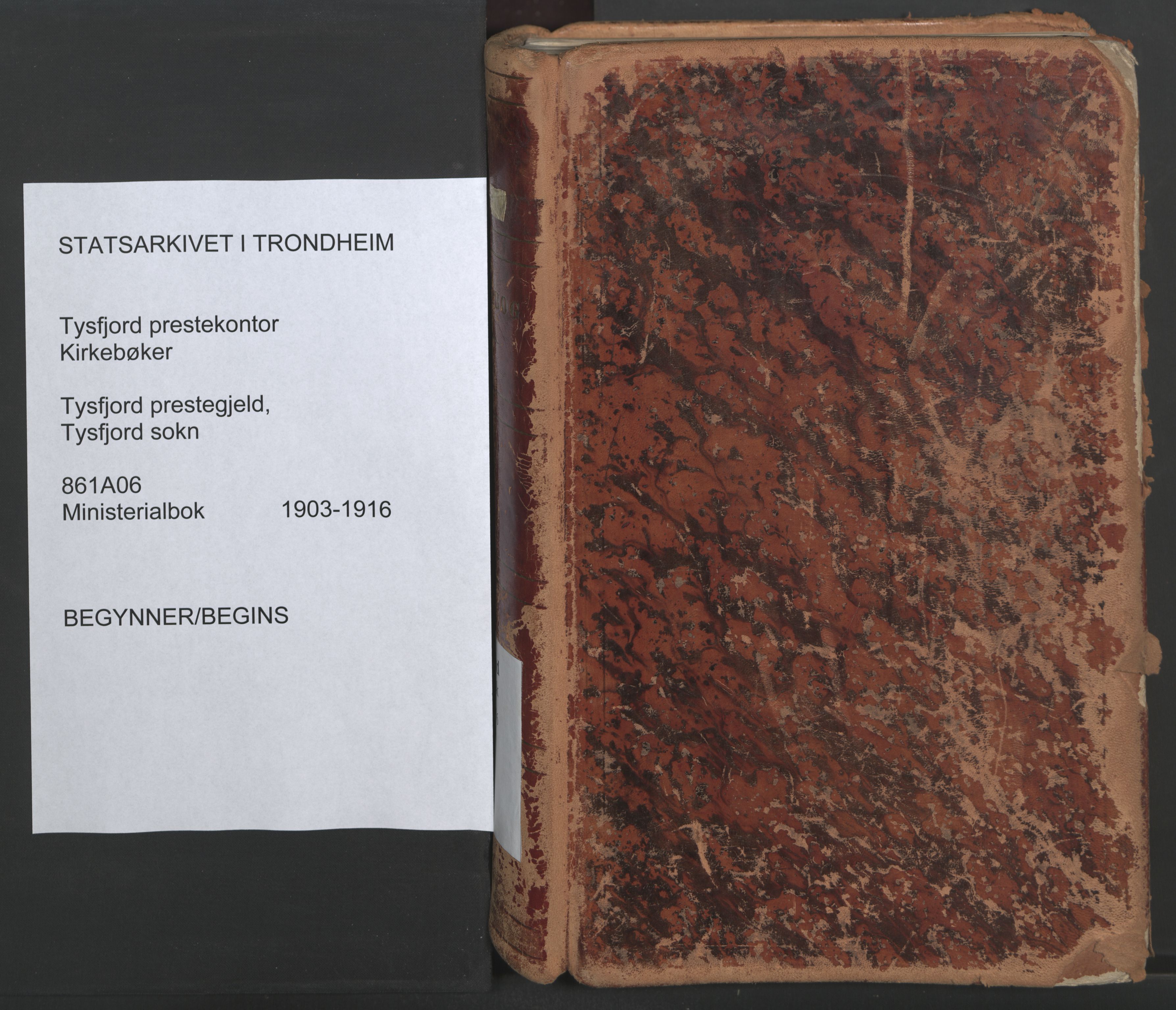 Ministerialprotokoller, klokkerbøker og fødselsregistre - Nordland, SAT/A-1459/861/L0871: Parish register (official) no. 861A06, 1903-1916