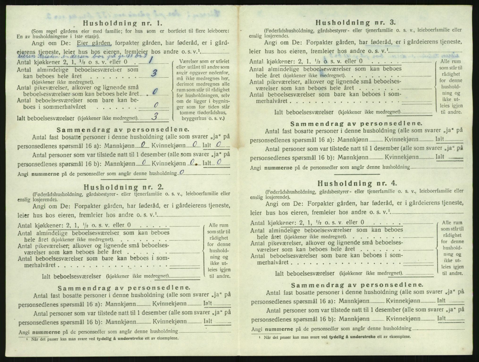 SAKO, 1920 census for Brunlanes, 1920, p. 1066