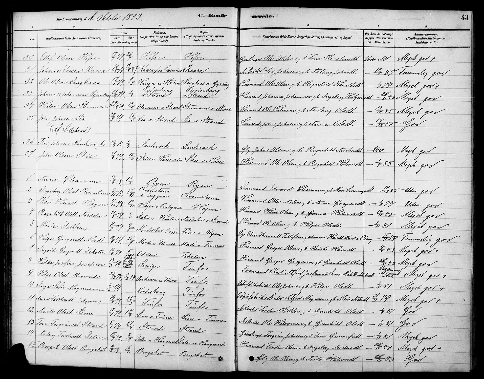 Heddal kirkebøker, AV/SAKO-A-268/F/Fa/L0009: Parish register (official) no. I 9, 1878-1903, p. 43