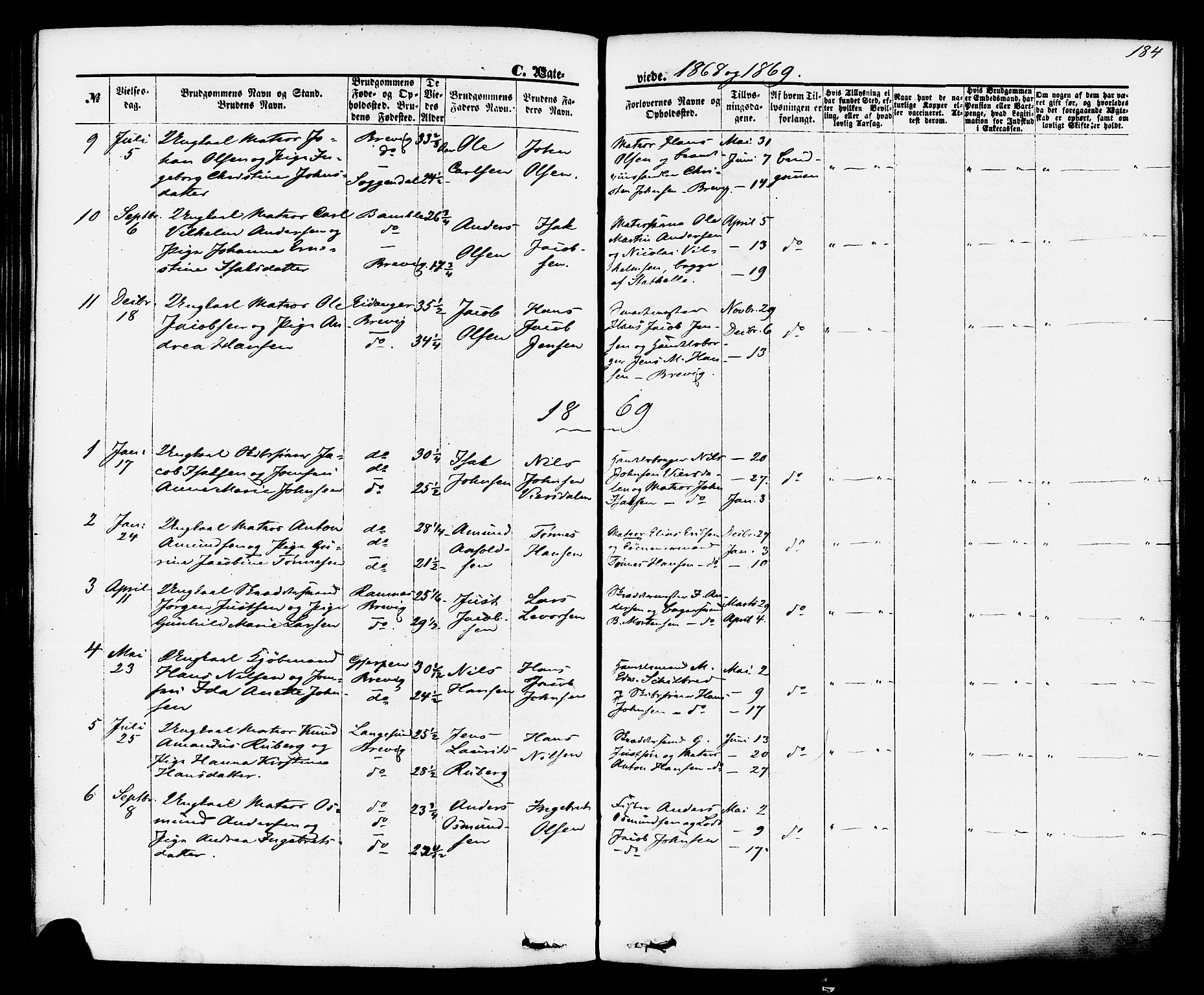 Brevik kirkebøker, SAKO/A-255/F/Fa/L0006: Parish register (official) no. 6, 1866-1881, p. 184